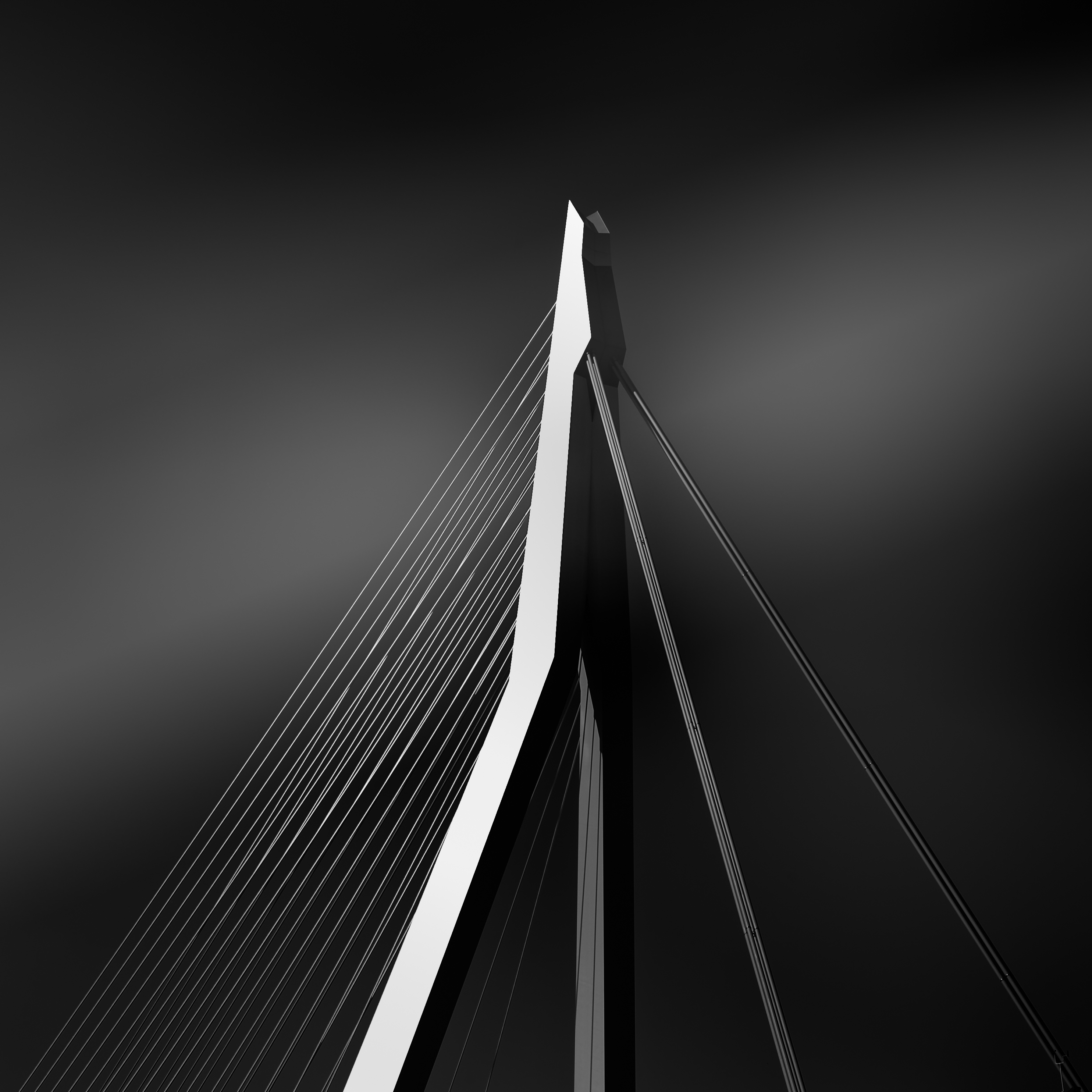 erasmusbrug-2