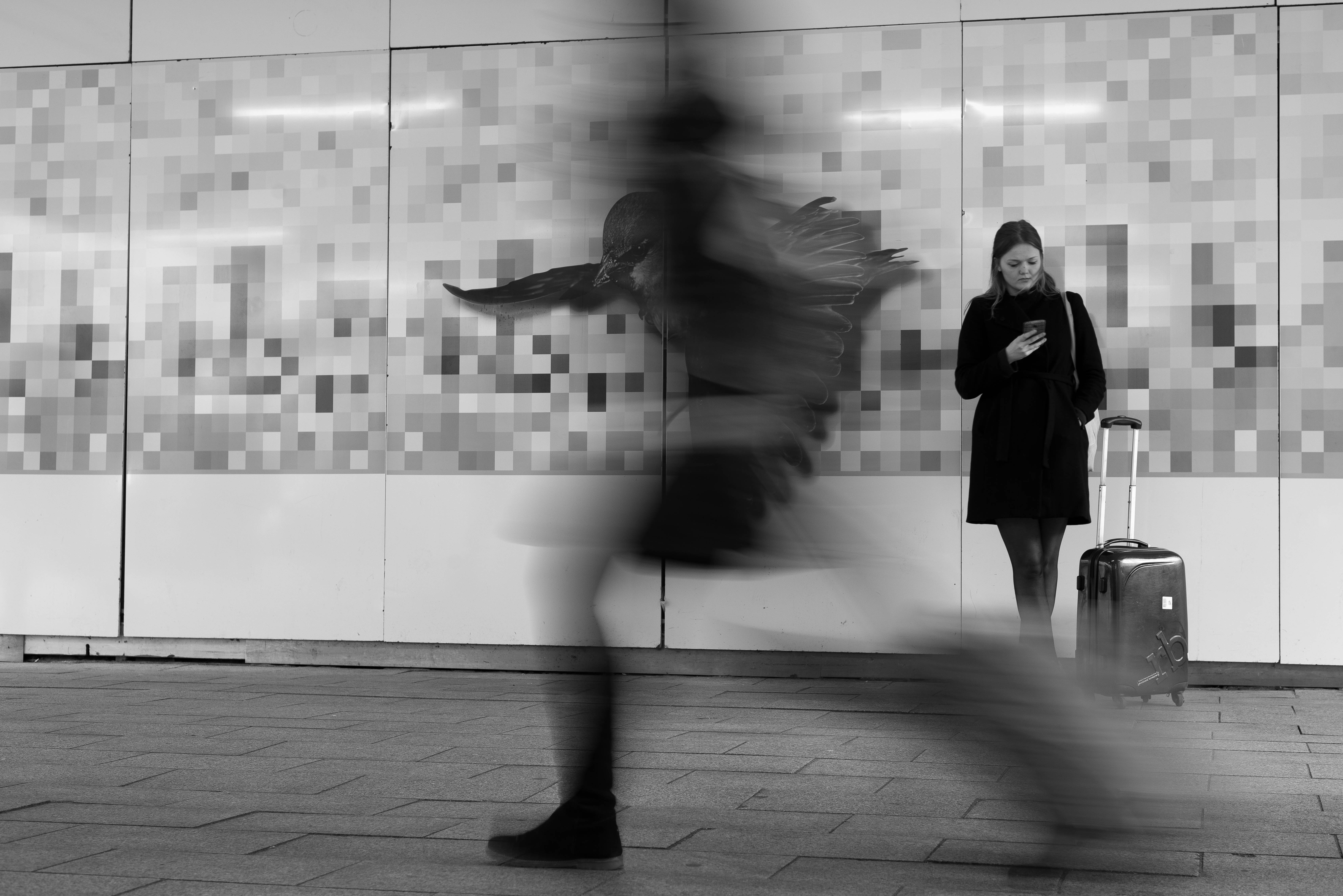 gevleugelde-reiziger