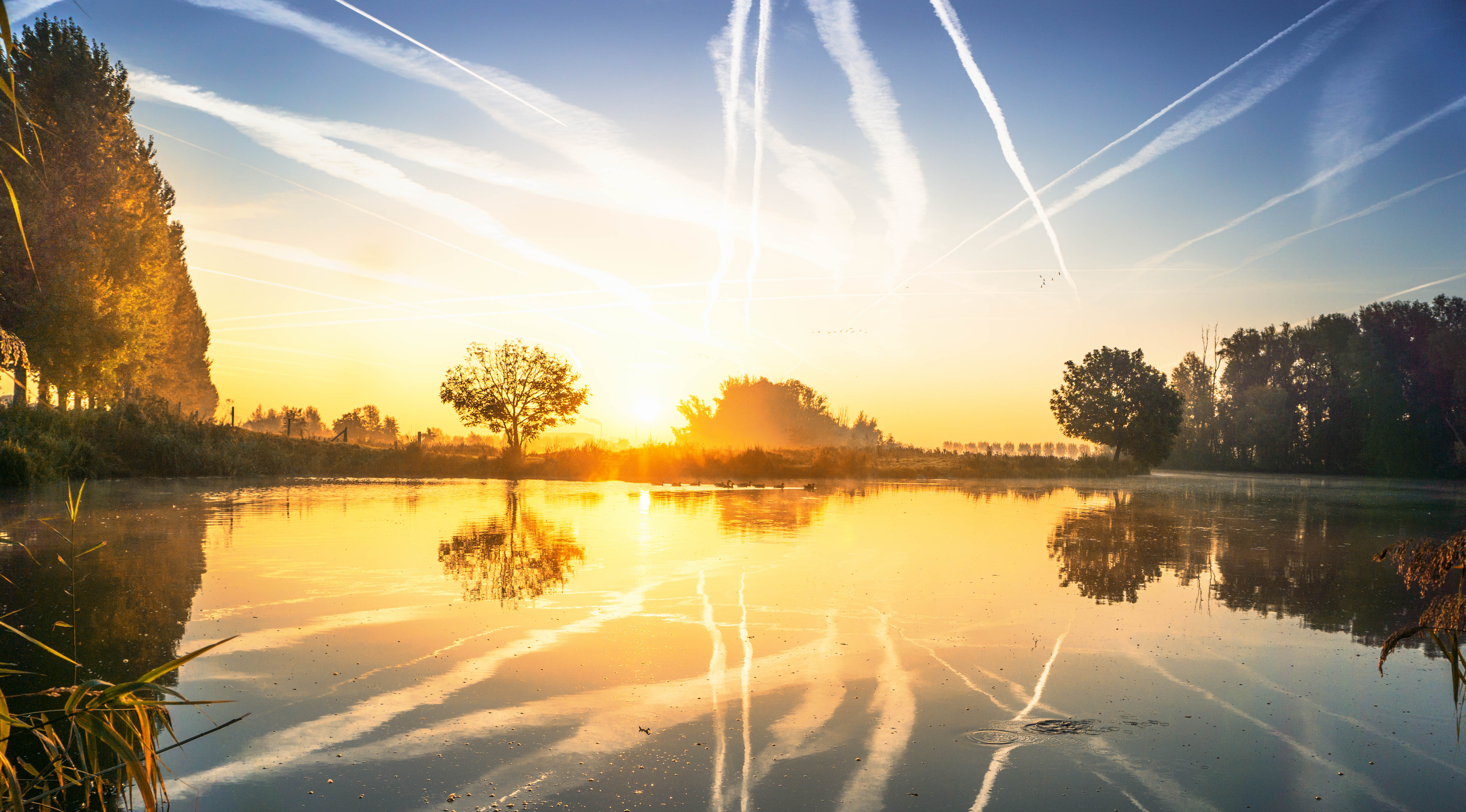 prachtige-zonnige-morgen-in-de-polder