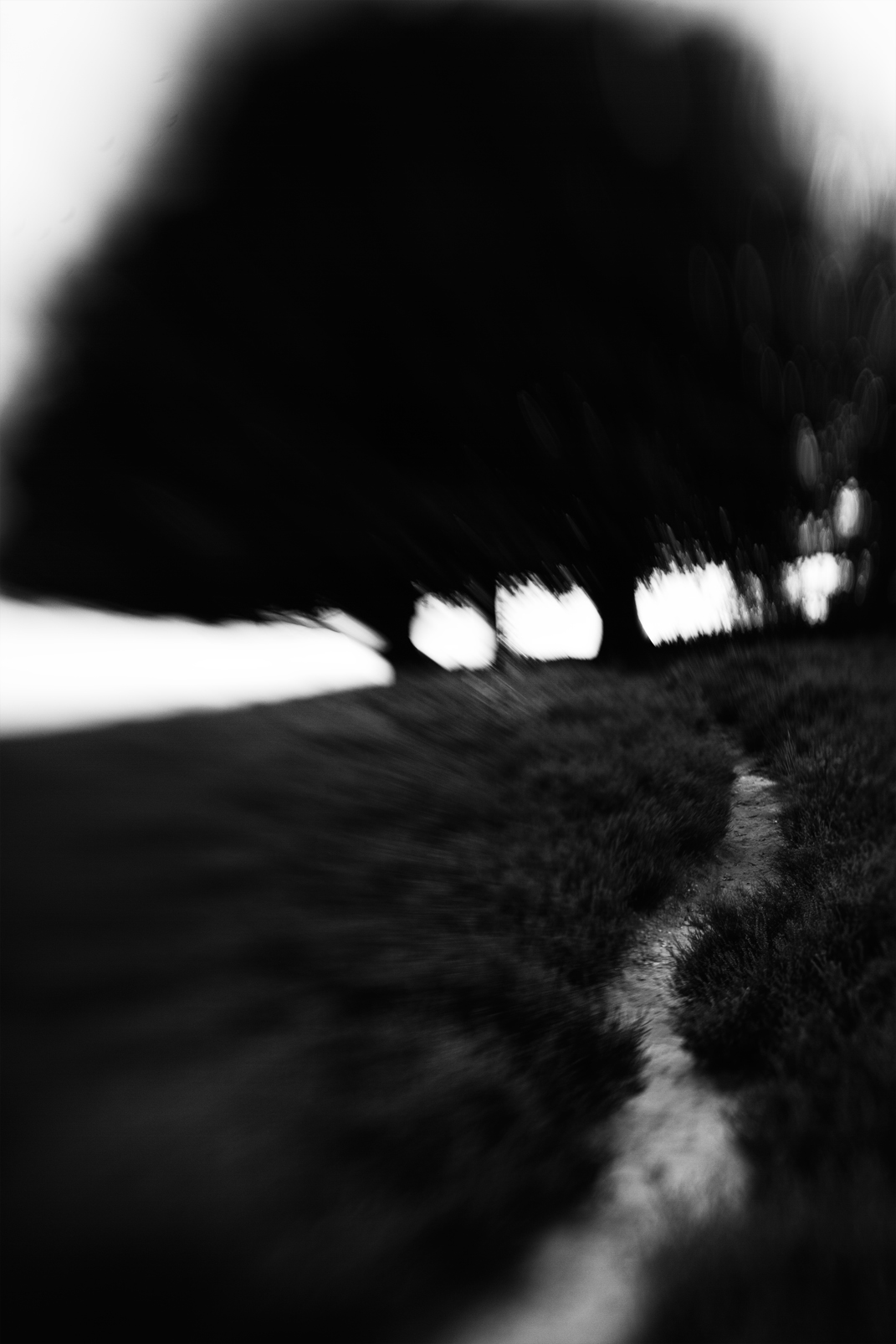 dare-to-follow-me-there