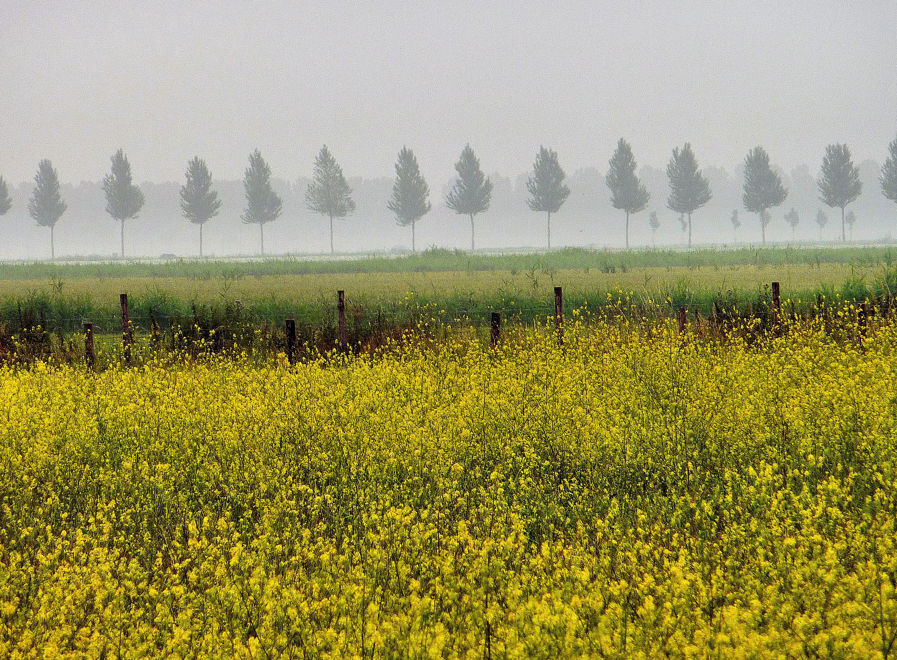 weekopdracht-polder-0