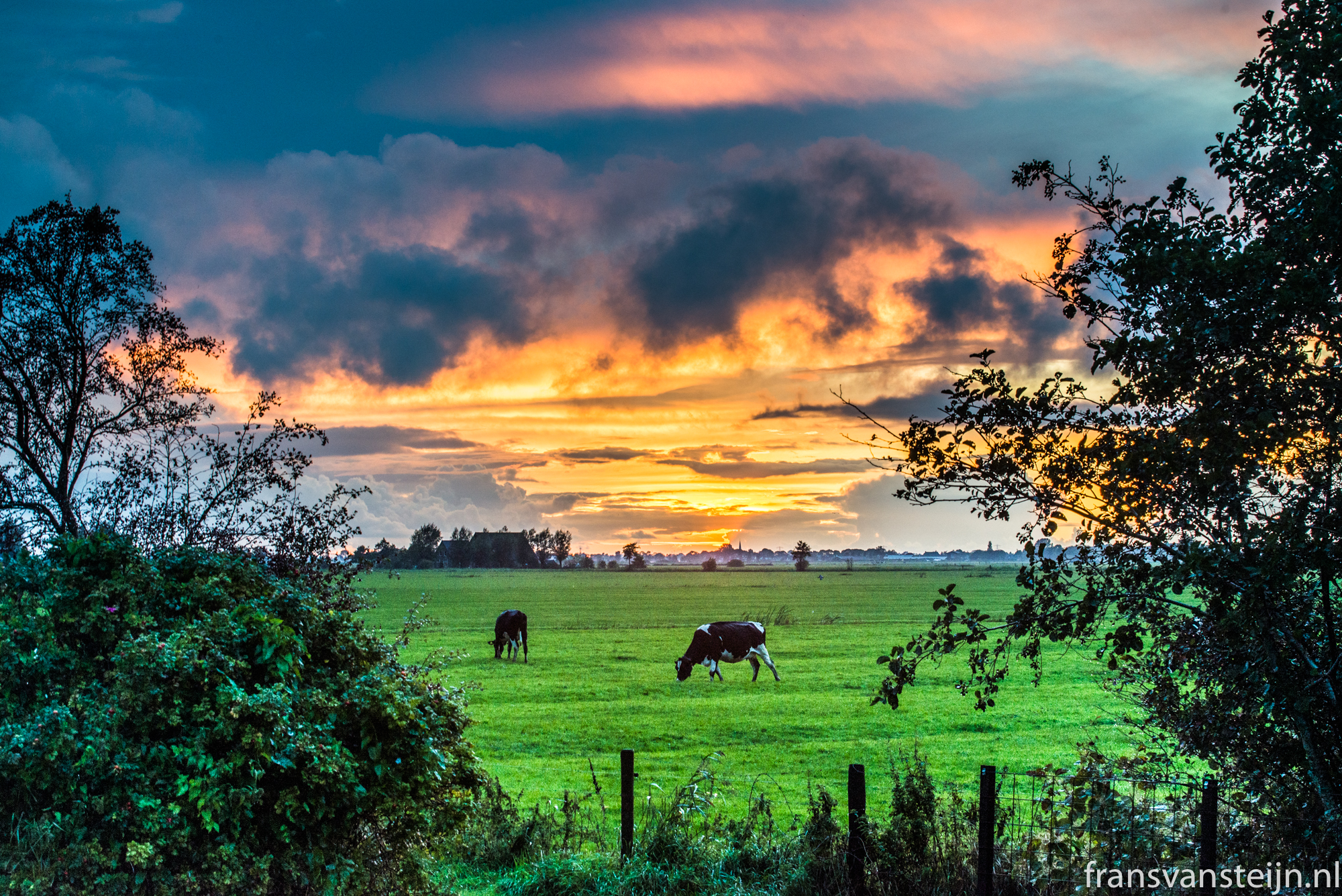 frans-van-steijn-polder-2