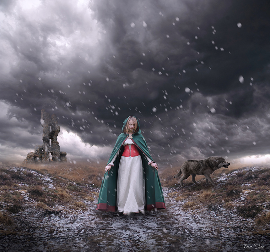 the-protector