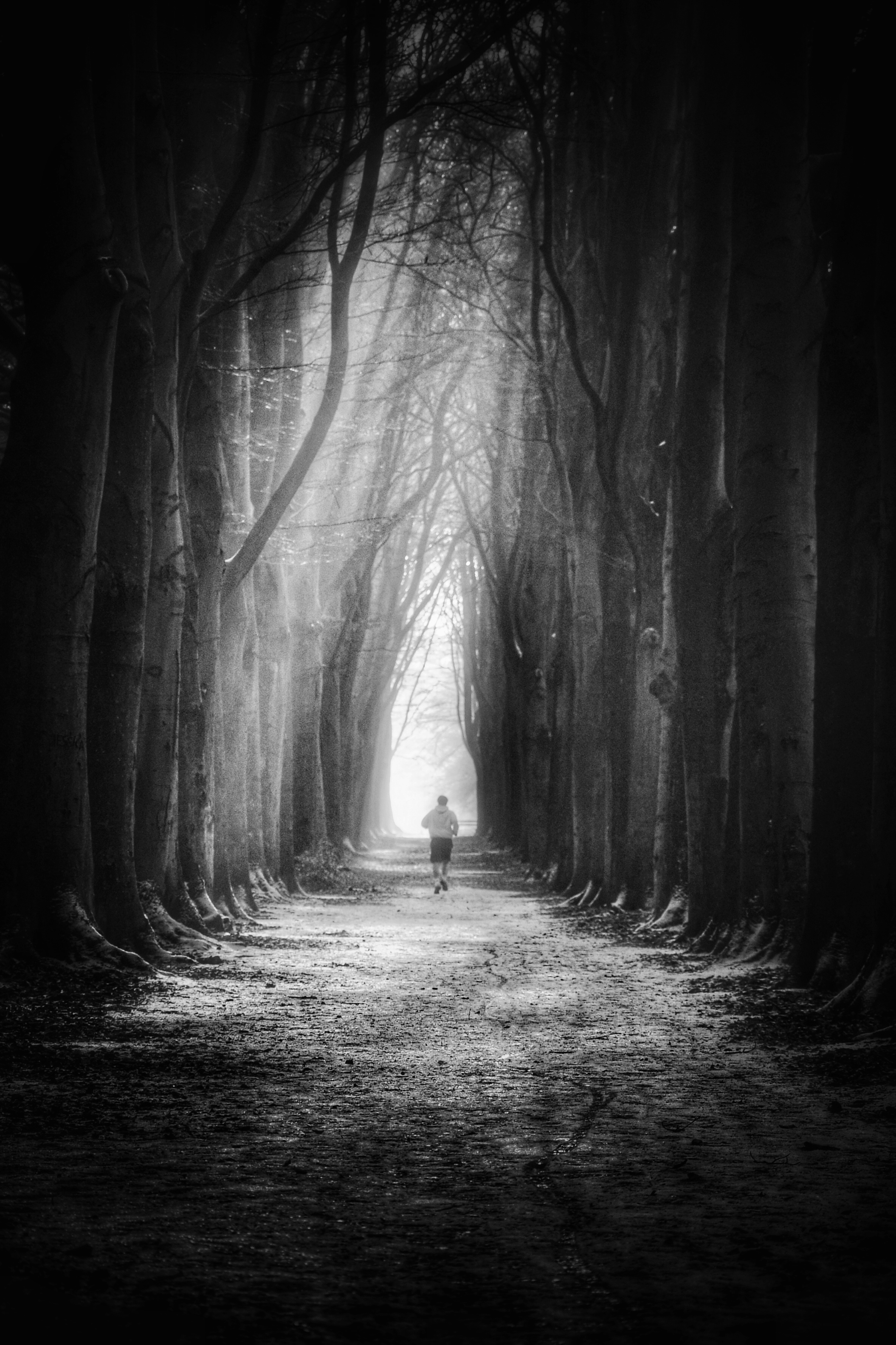 run-boy-run-ii-bw