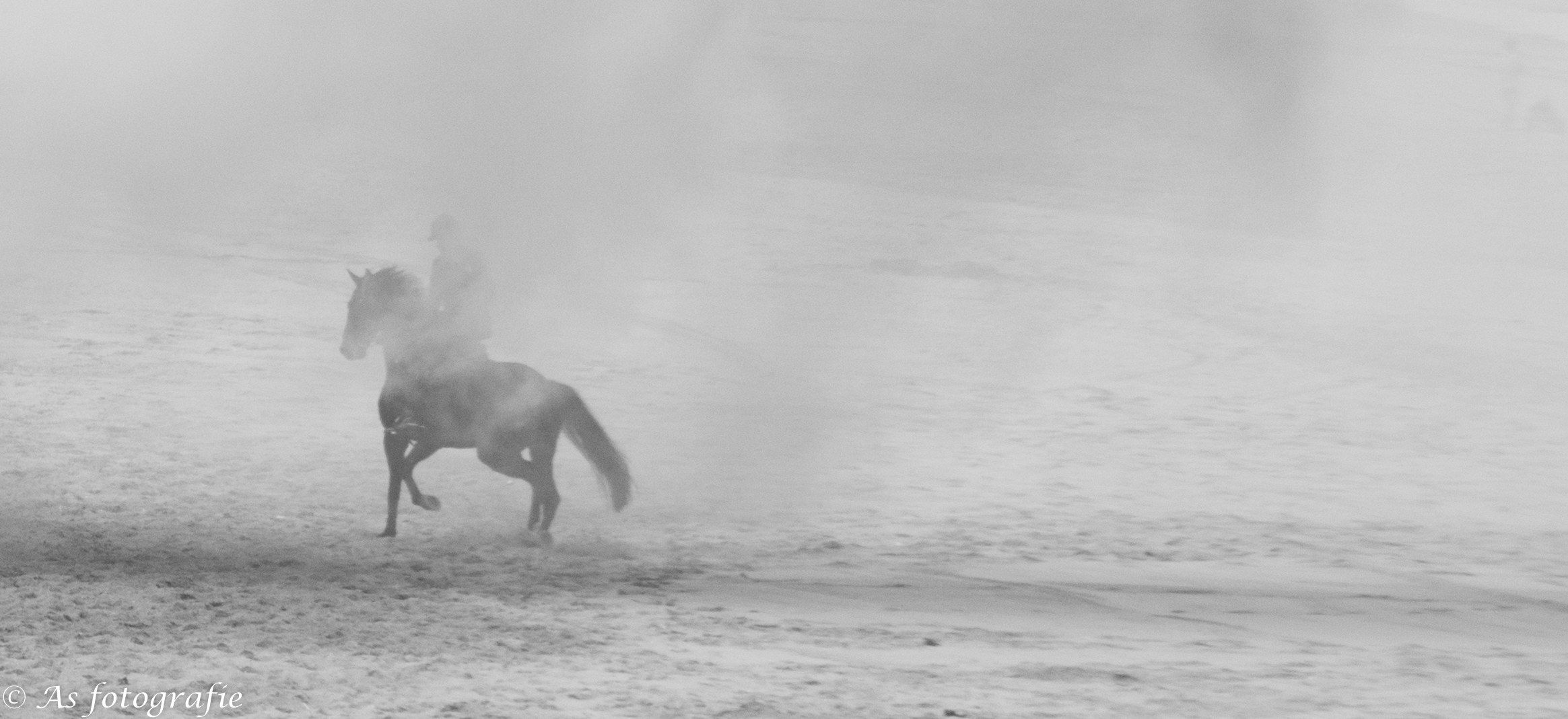 in-de-rook-van-prinsjesdag