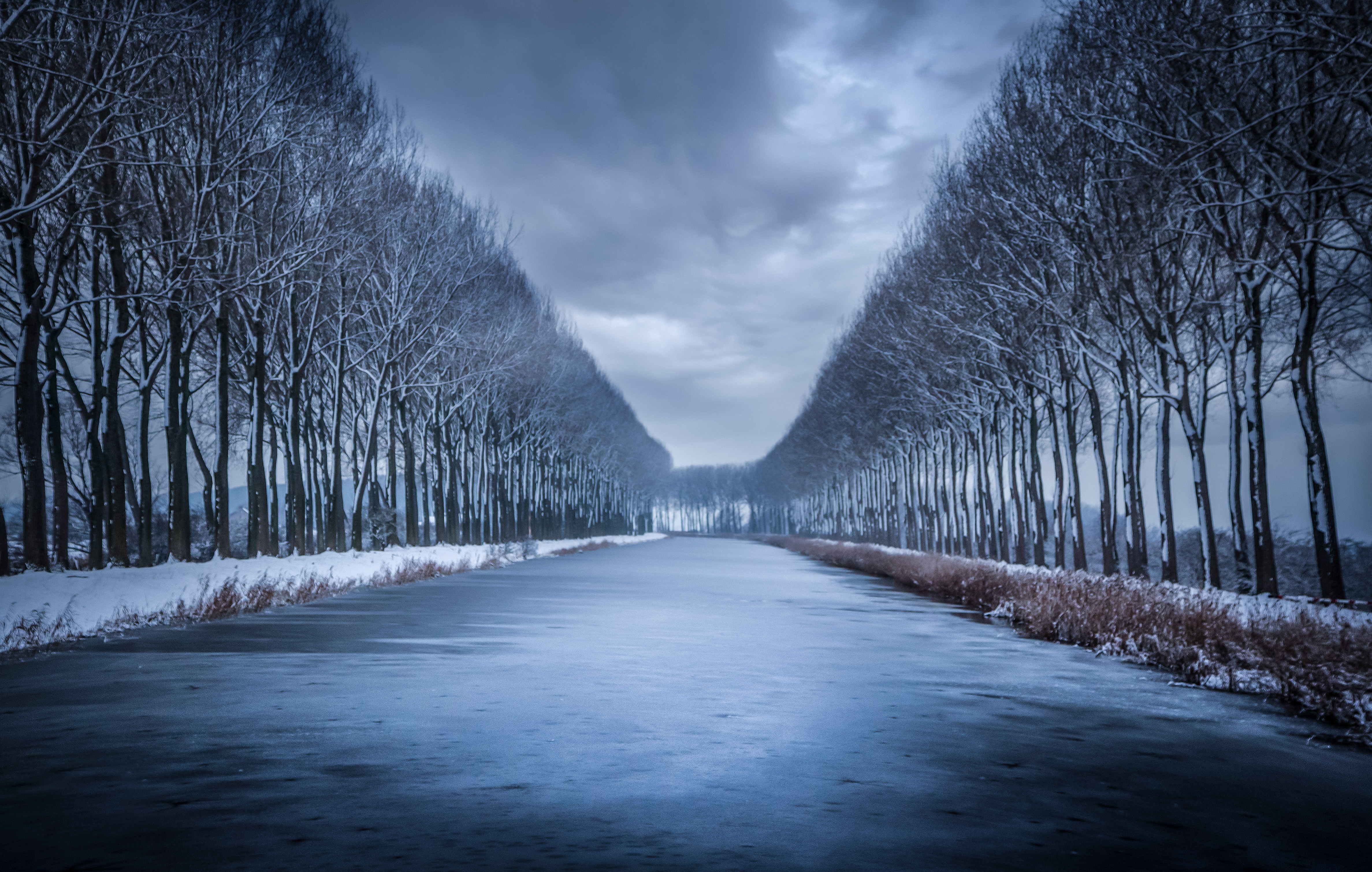cold-as-ice-1