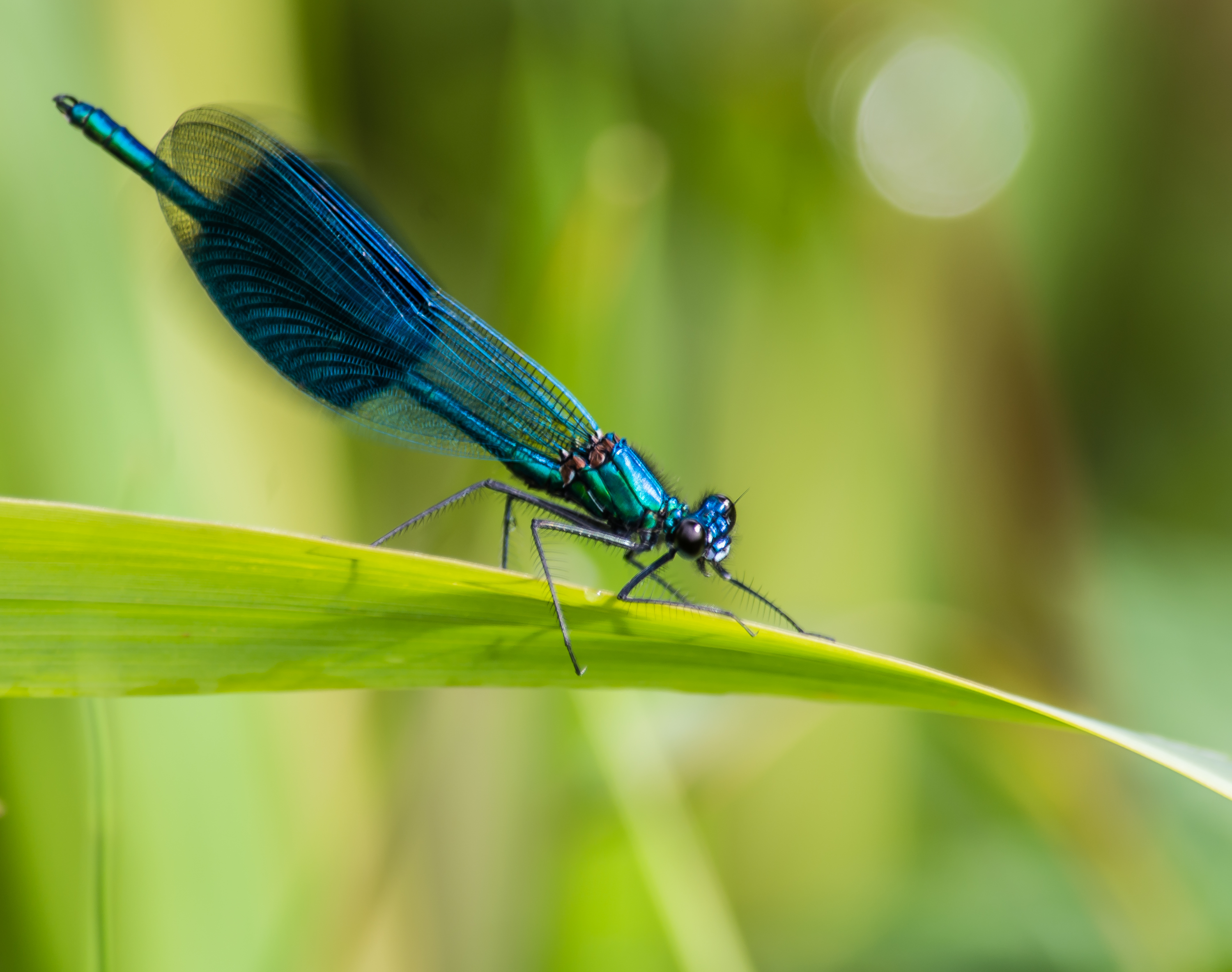 opwarmen-na-een-onweersbui