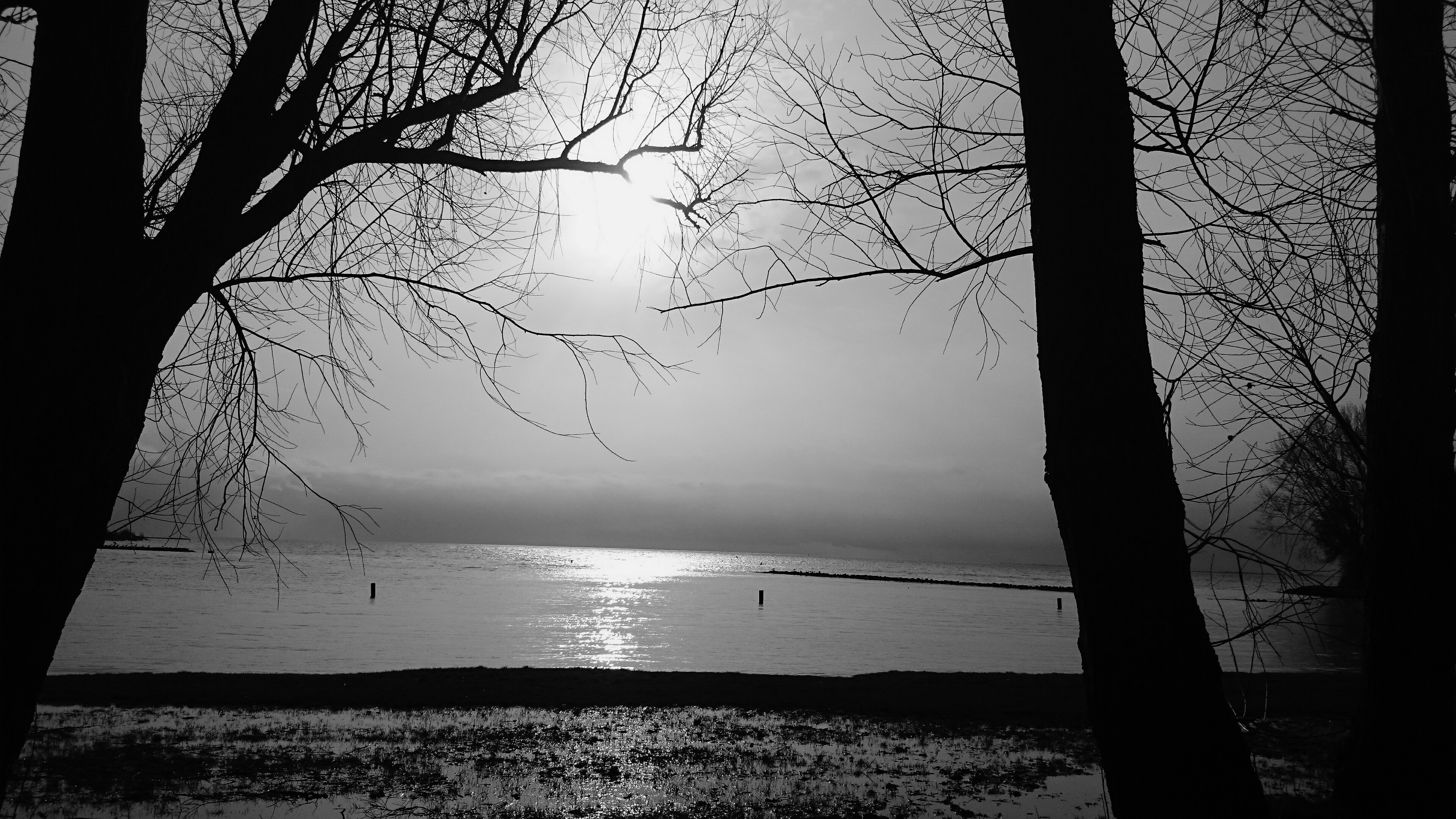 een-mooie-winterse-dag