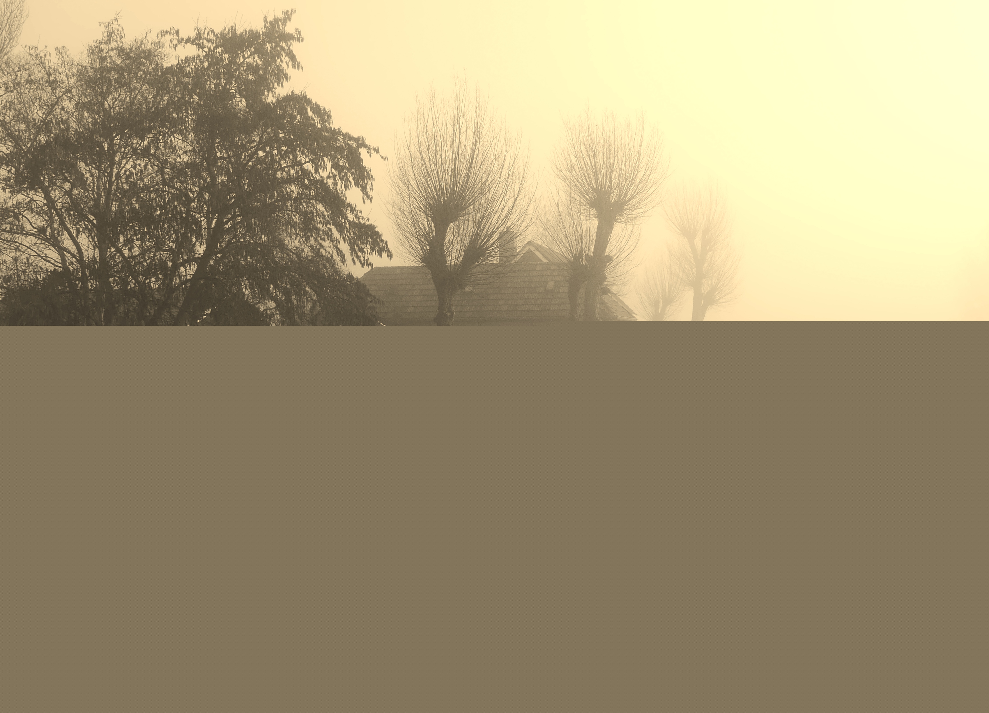 waterig-ochtend-zonnetje