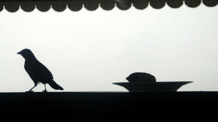 silhouet-in-stilleven