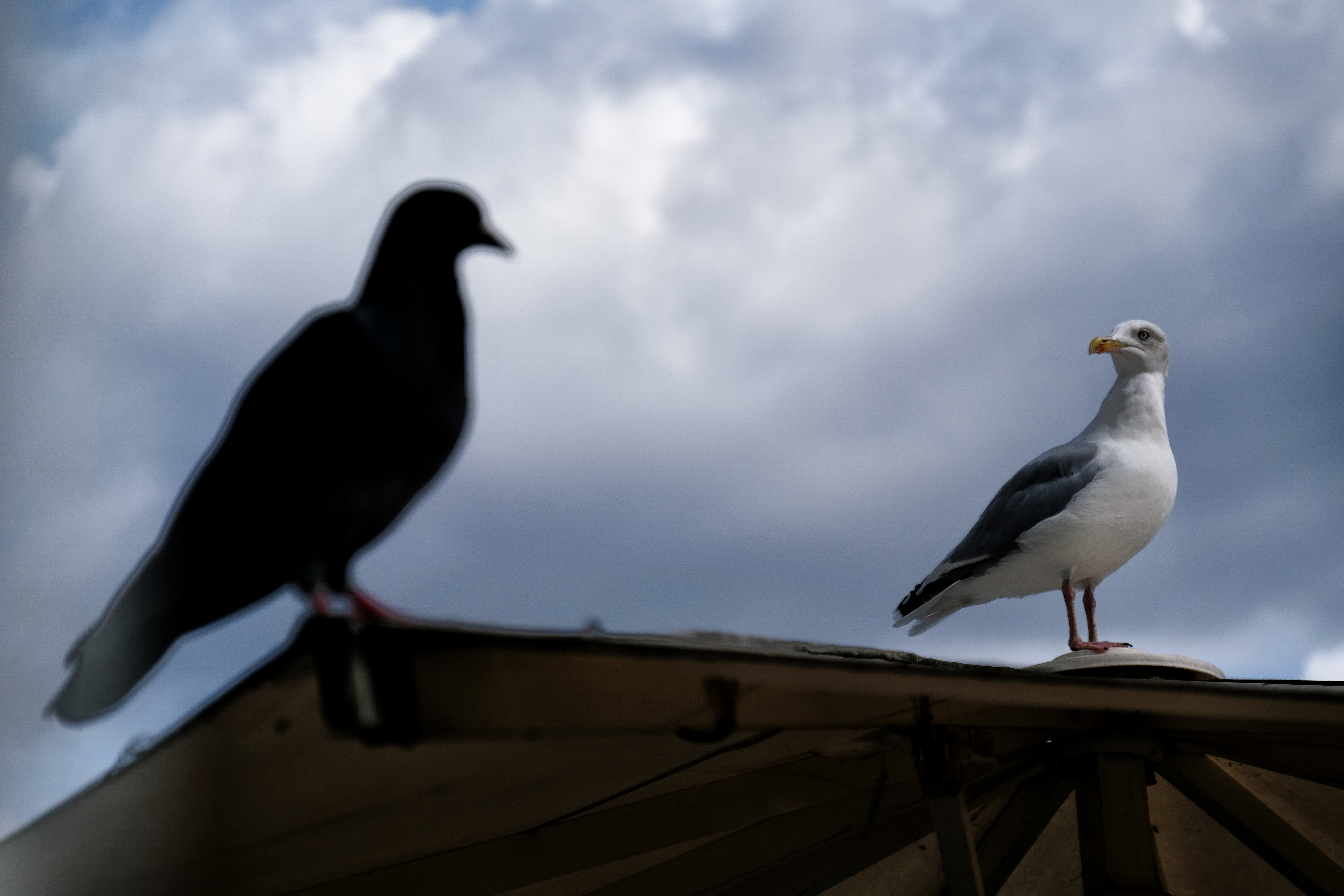 silhouet-come-to-the-dark-side