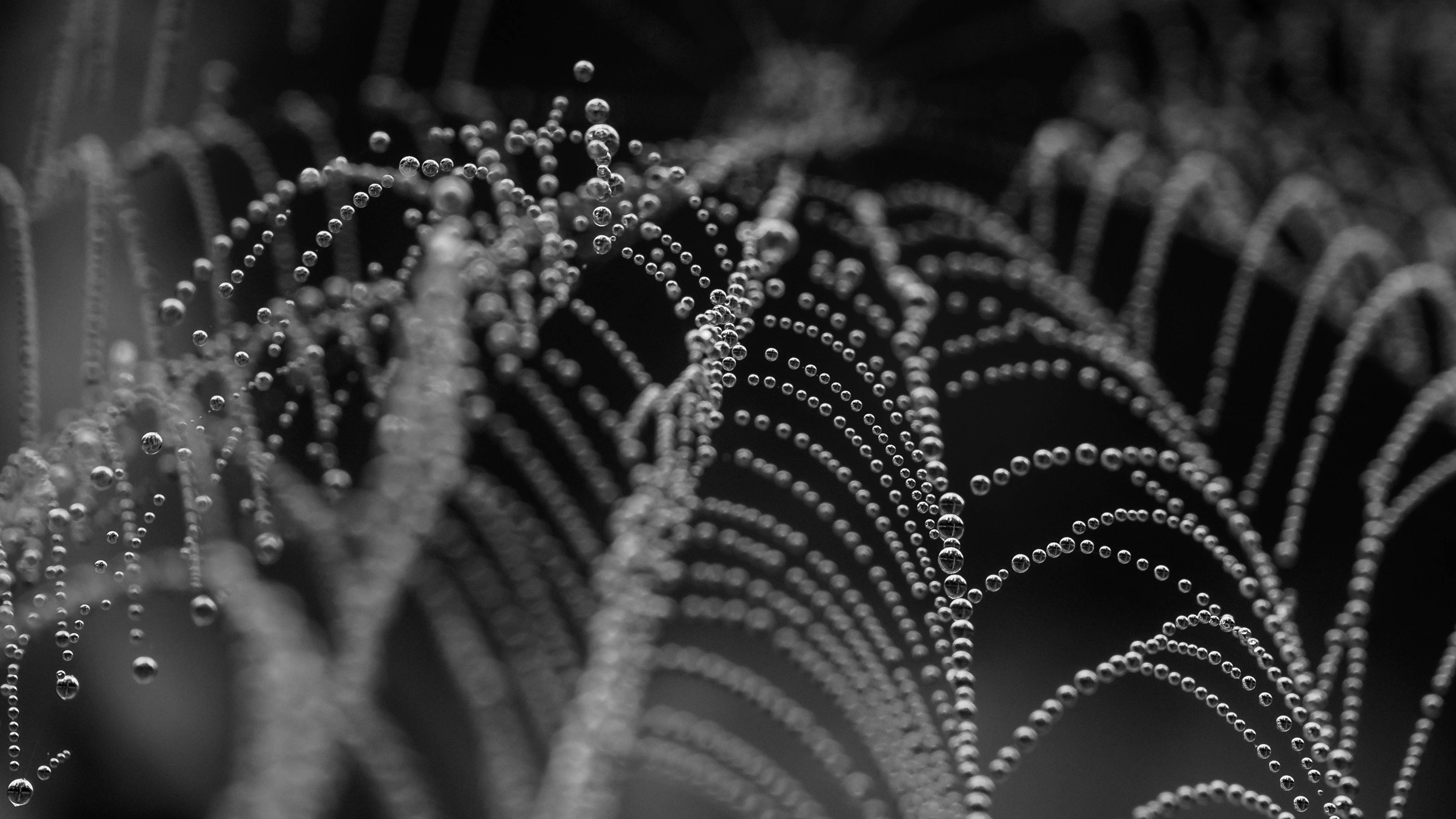 web-pearls-levitating