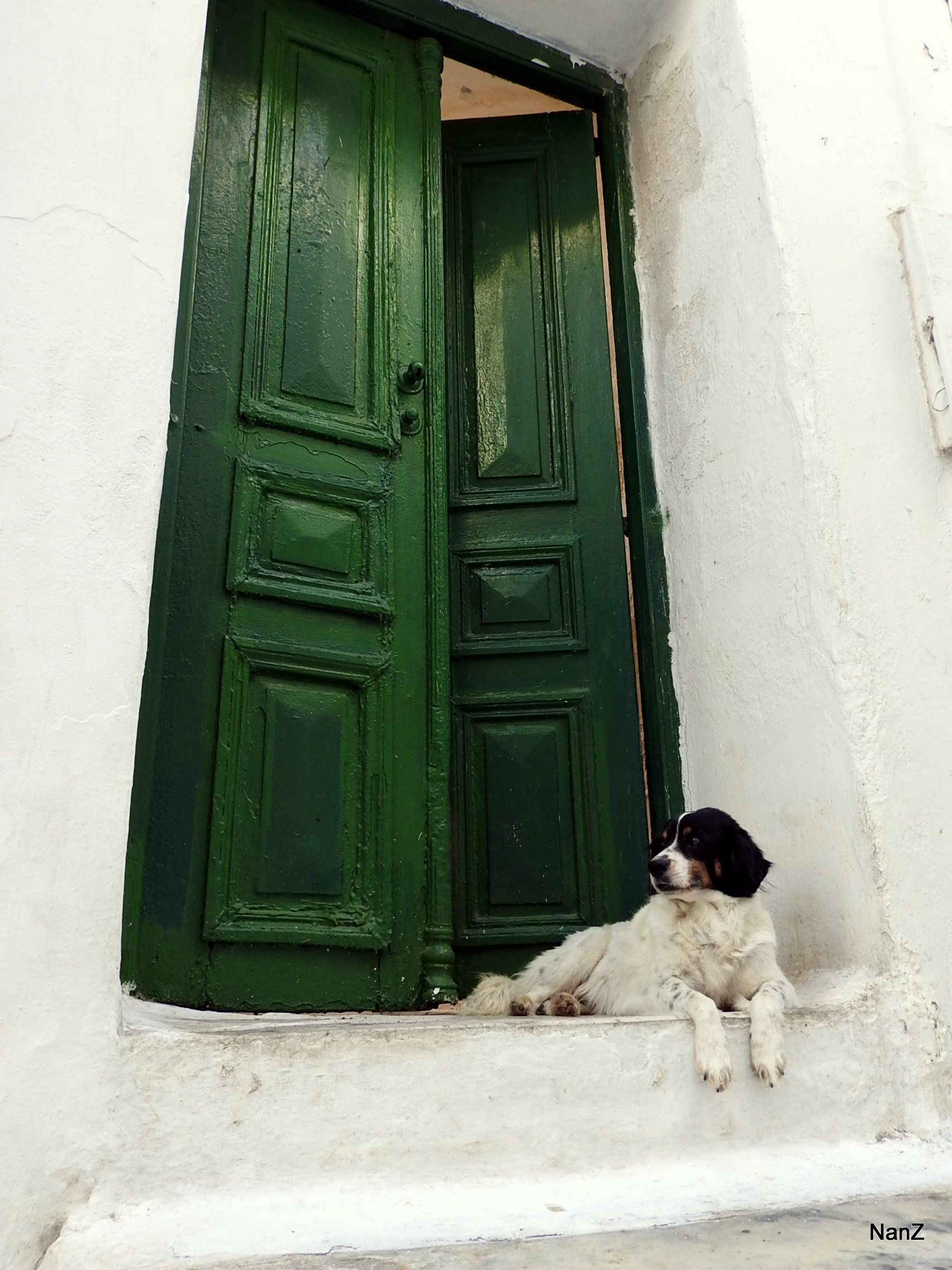 green-door