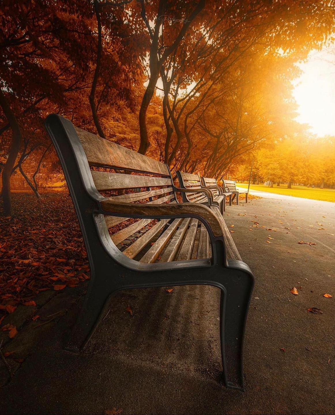 the-benches