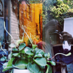 prachtig-groen-tussen-de-drukke-straten-in-bangkok