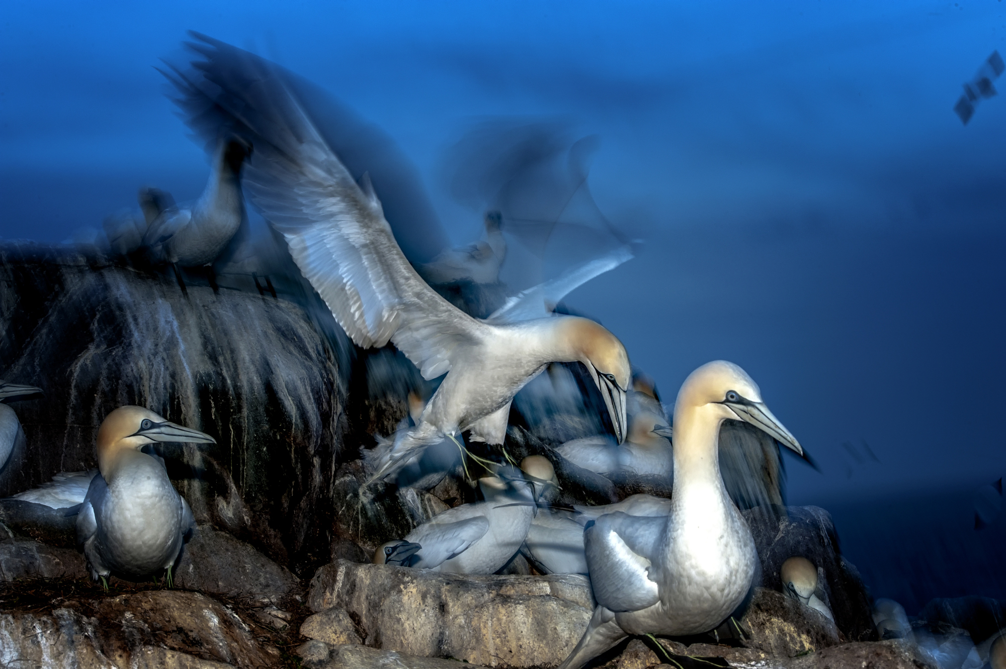 bewegingsonscherpte-0-3