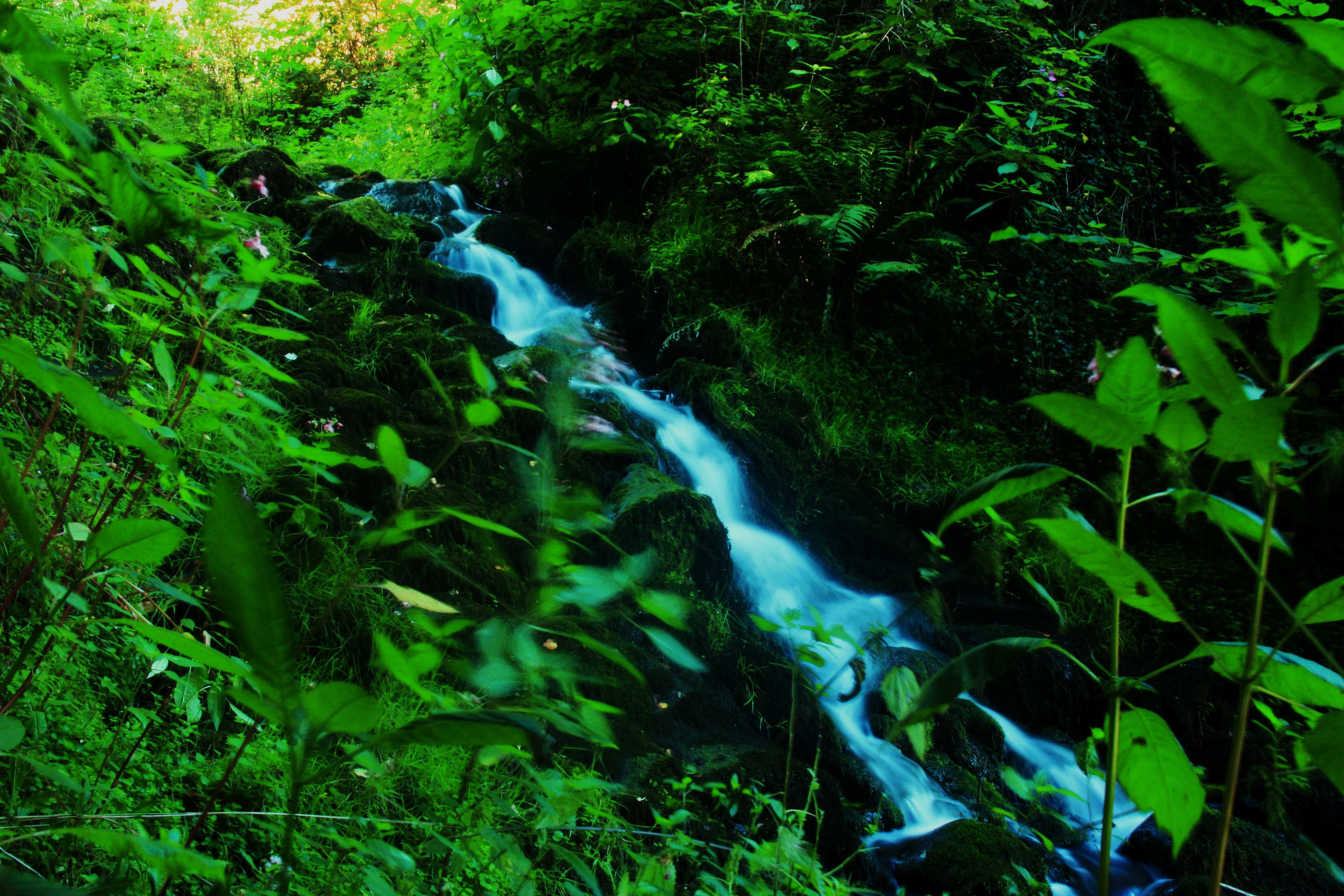 just-like-a-fairytale