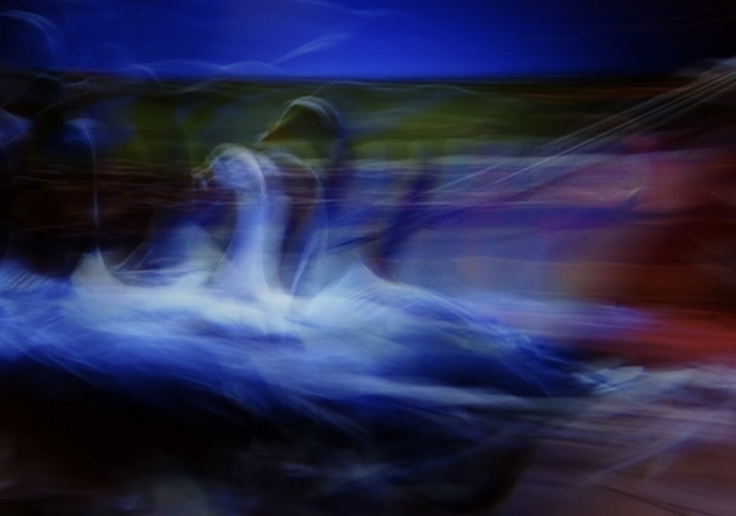 bewegingsonscherpte-ganzen