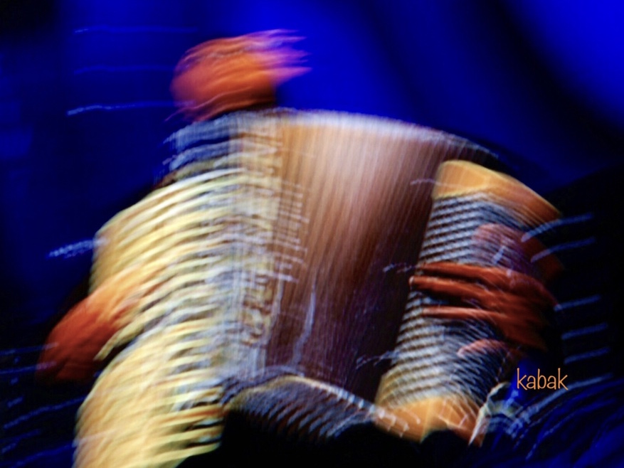 bewegingsonscherpte-accordeonist