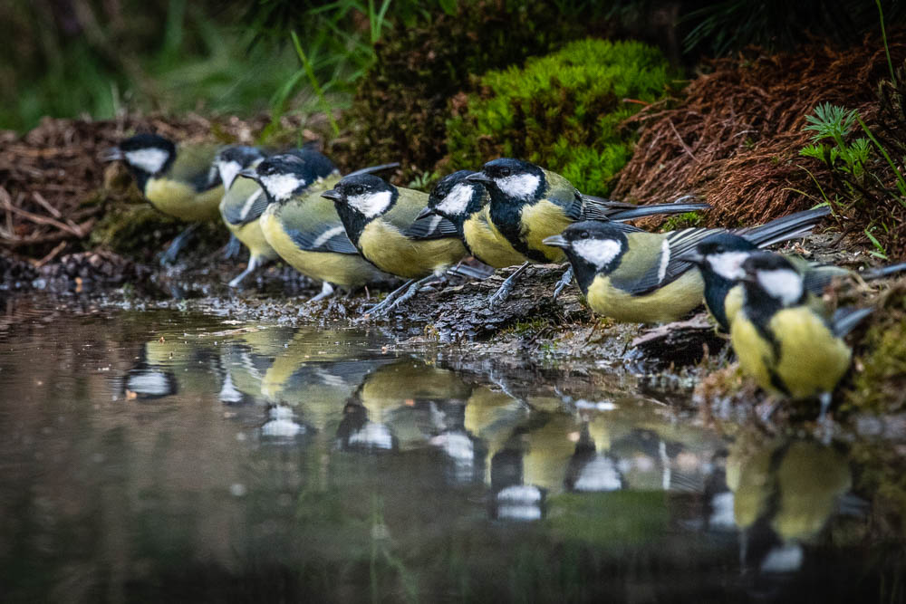 tijd-voor-een-drinkpauze