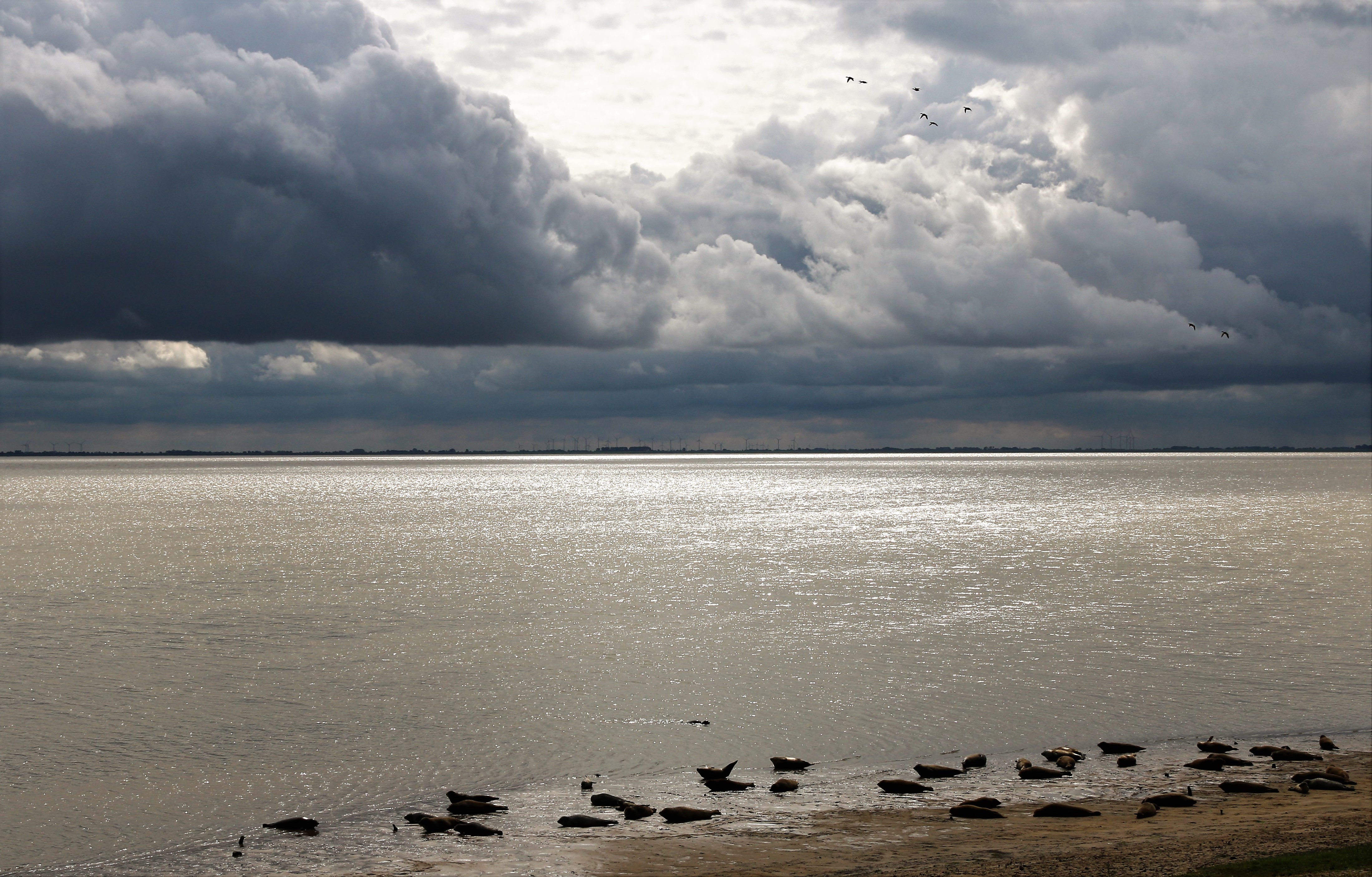 stilte-voor-de-storm