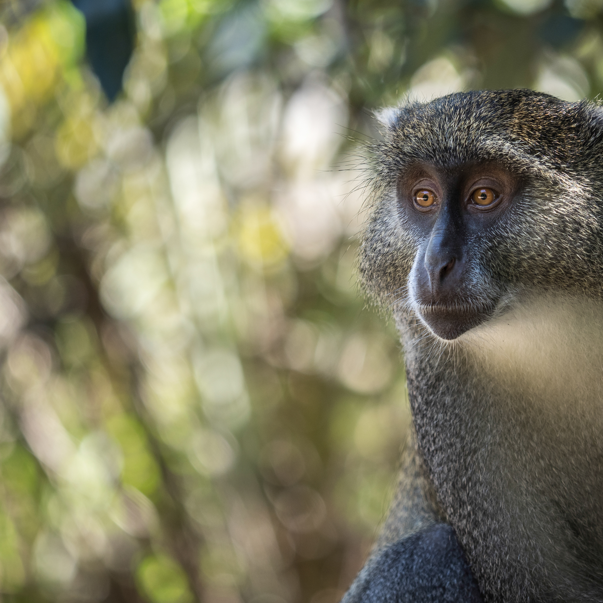 in-gedachten-verzonken-1