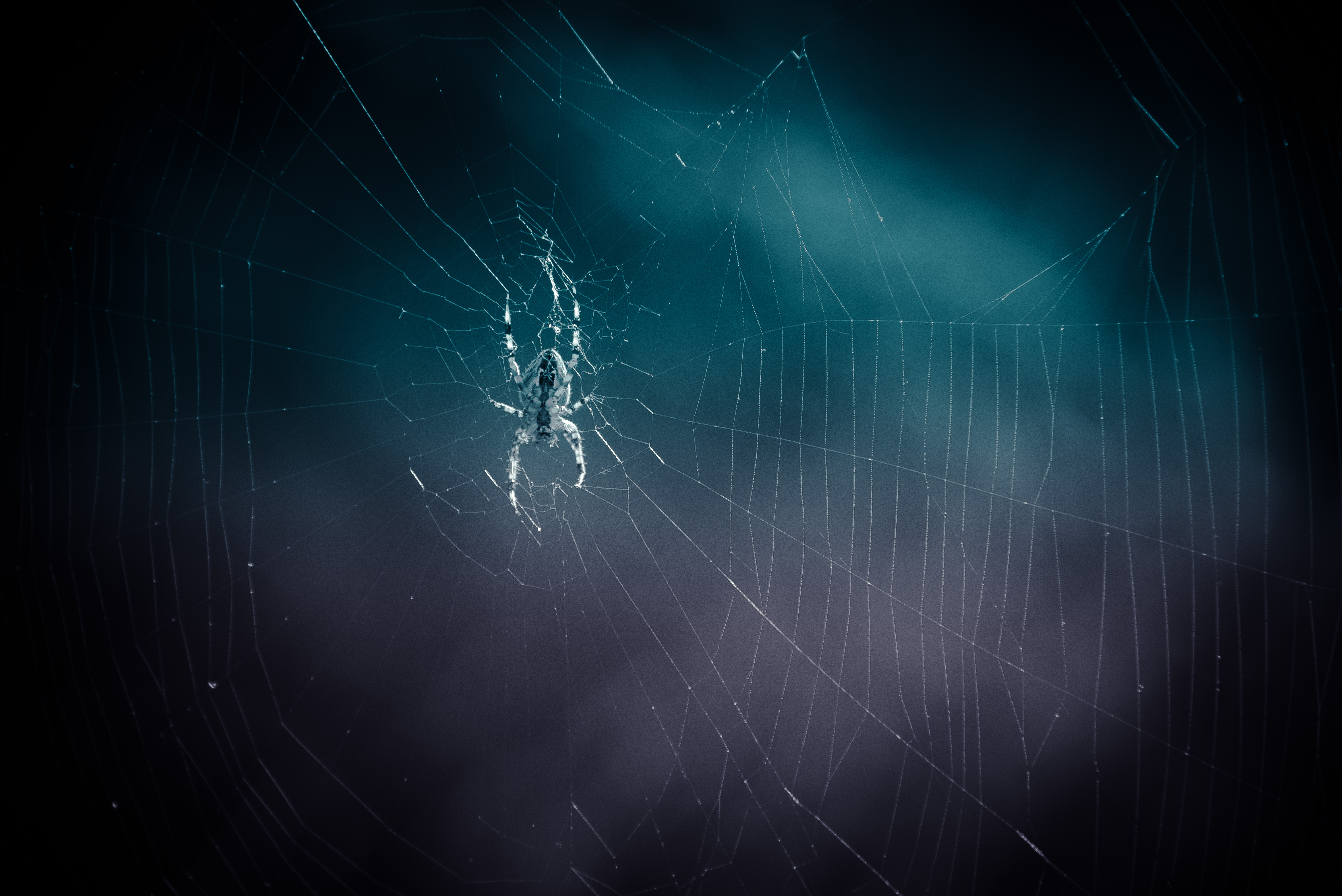 wildlife-in-het-klein