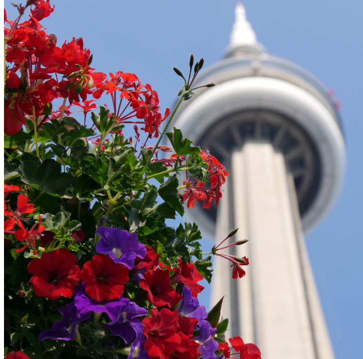 cn-tower-toronto