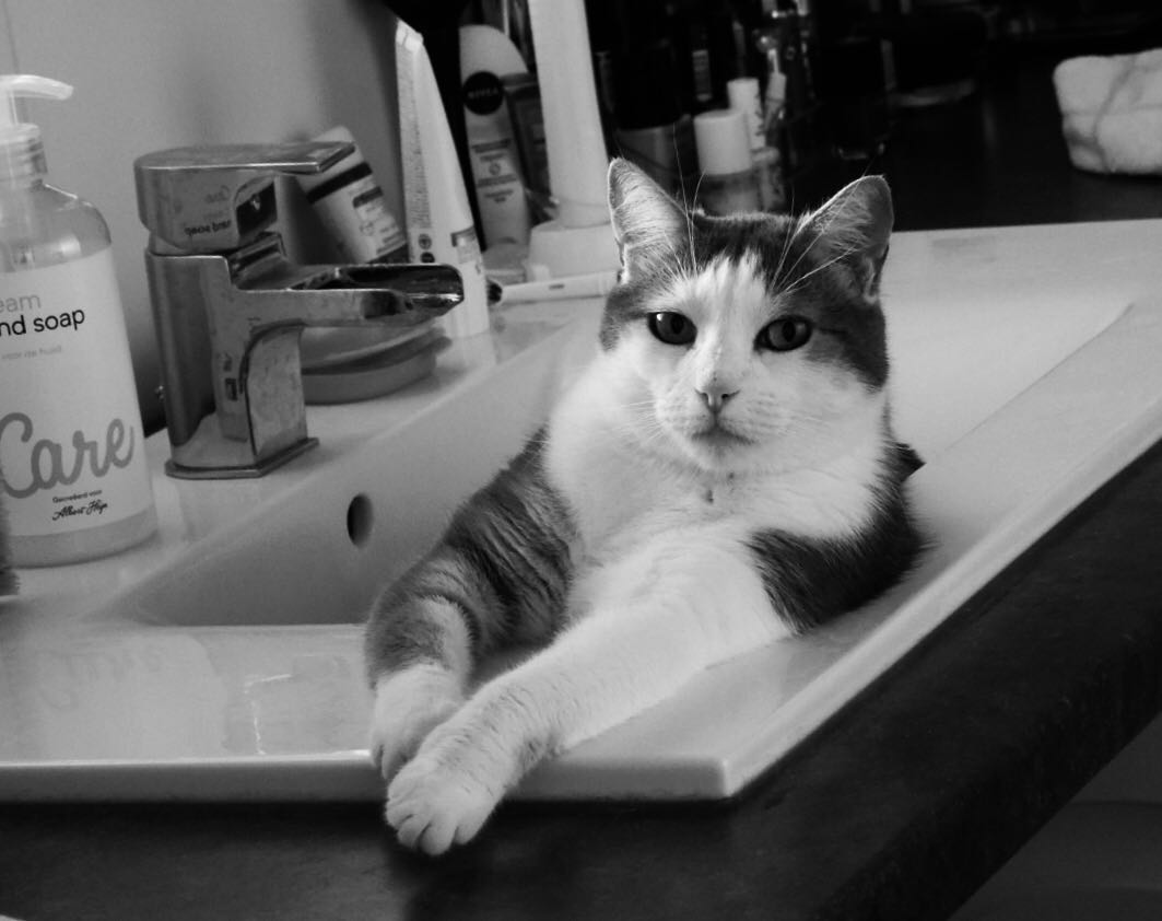 warm-weer-si%C3%ABsta