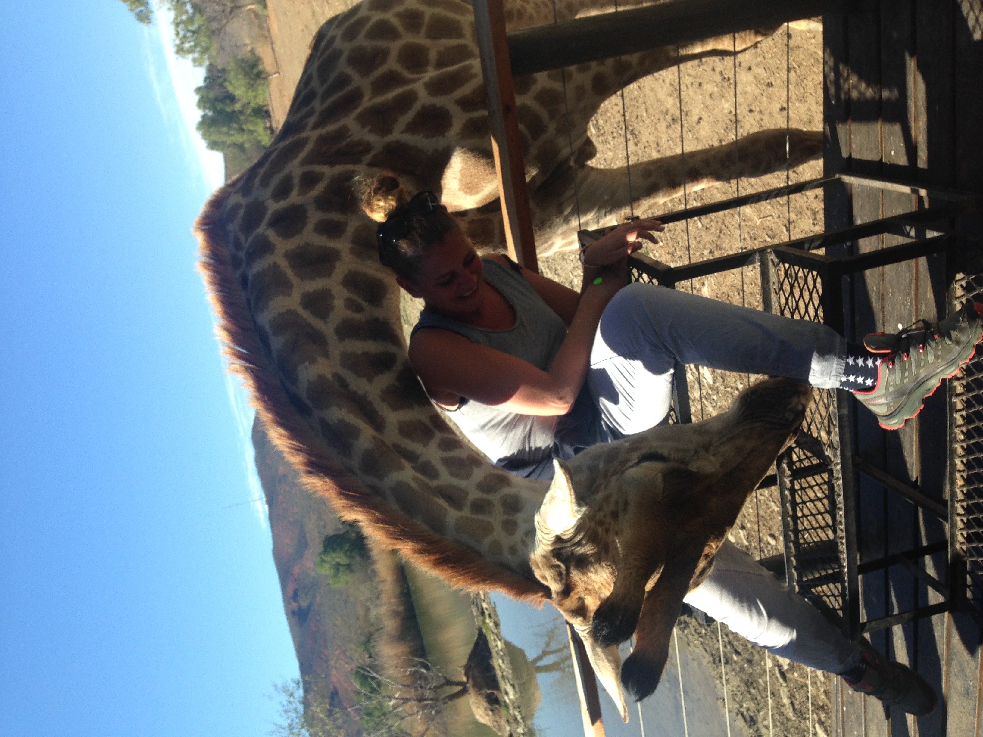 zeg-wat-heeft-u-daar