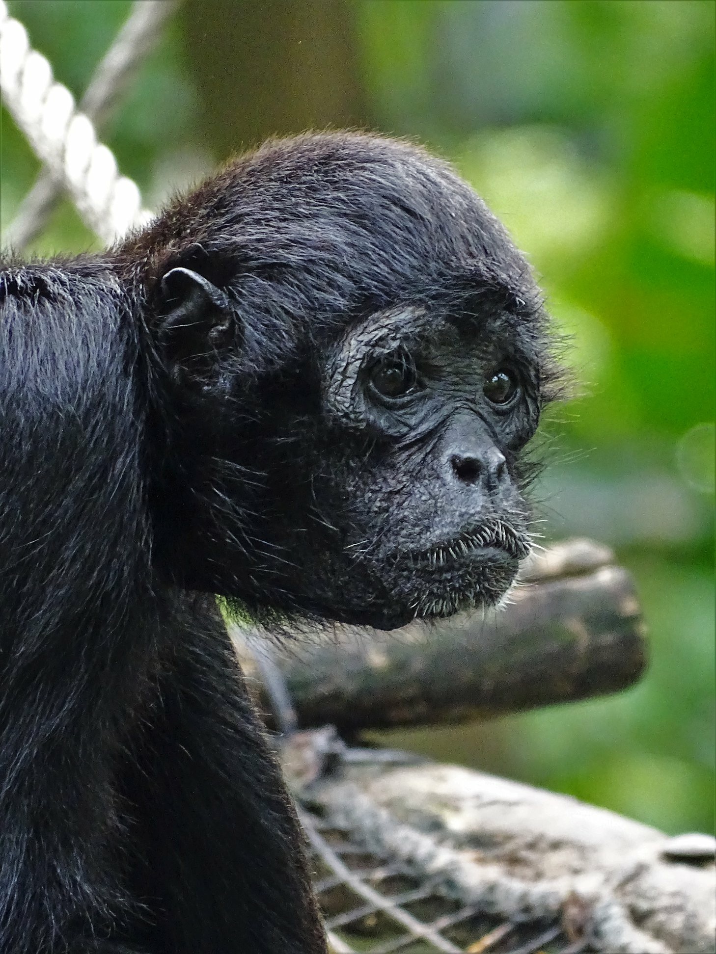 in-gedachten-verzonken-2