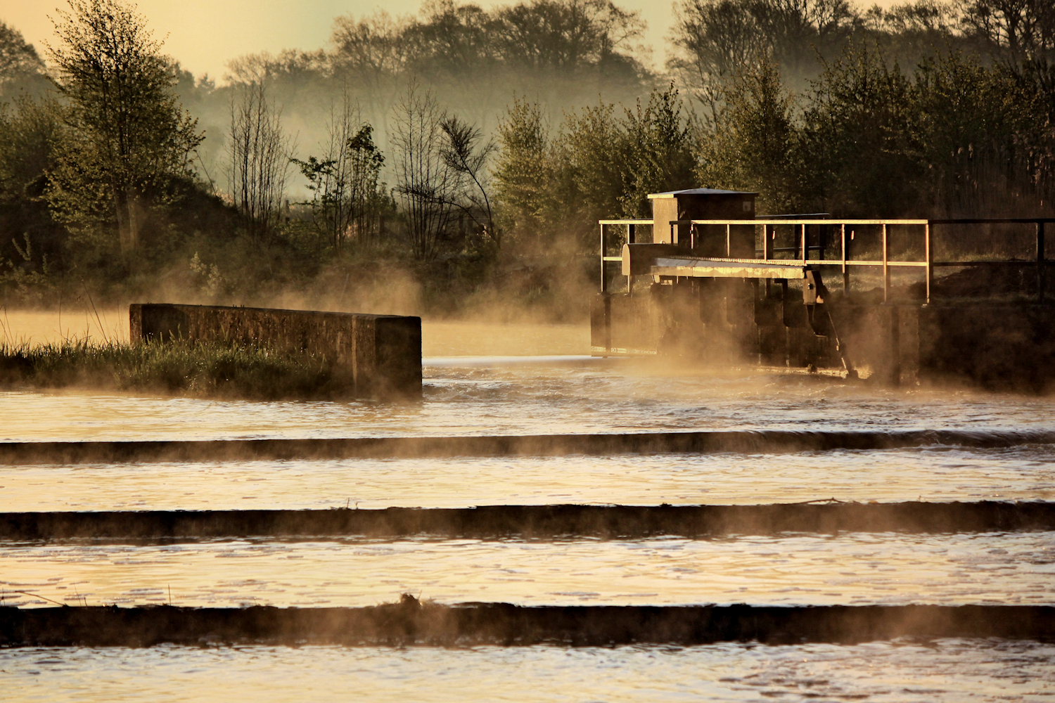 early-in-the-morning-5