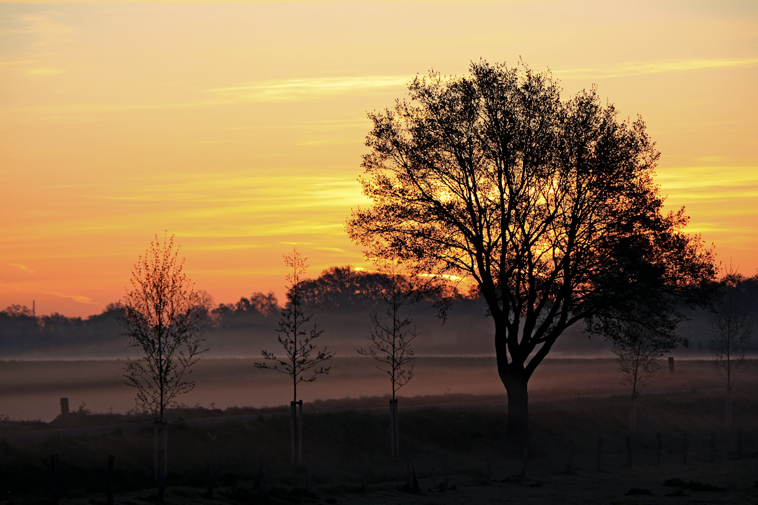 just-before-sunrise-1