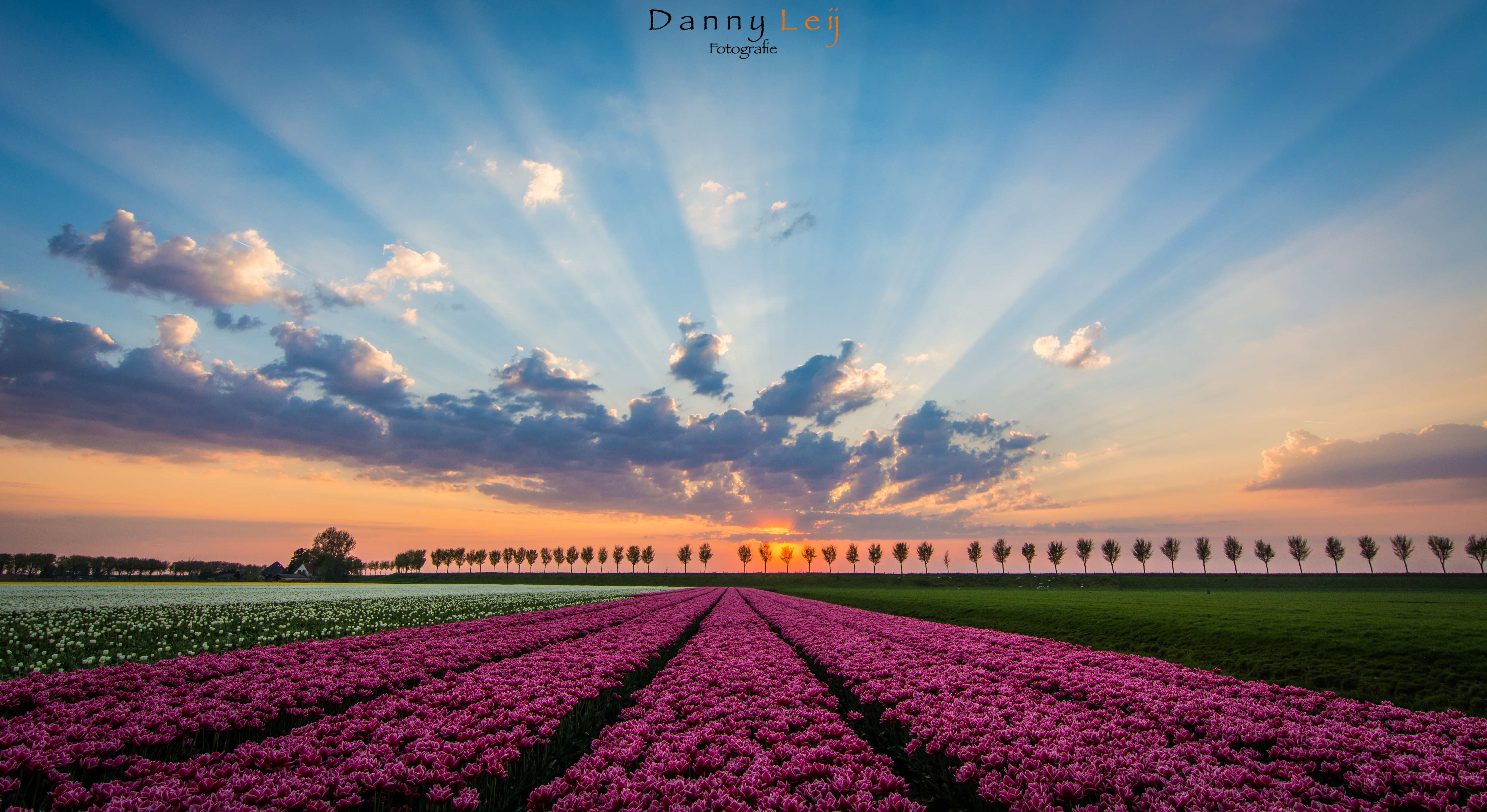 zonsondergang-beemster