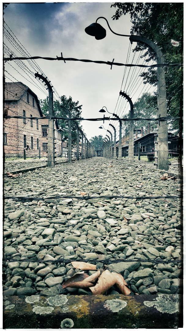 auschwitz-uitzicht-loos