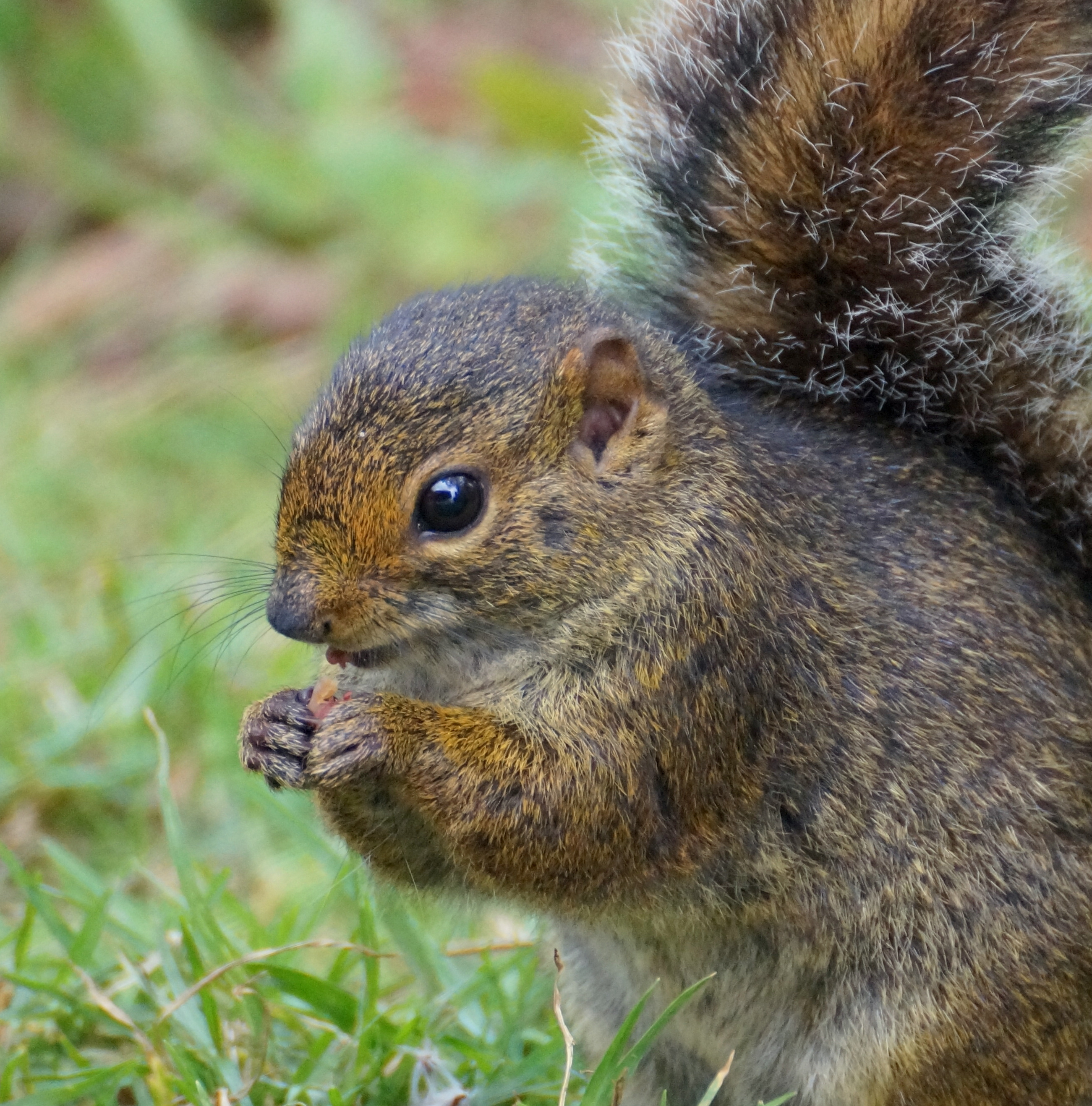 tijd-voor-een-snackje