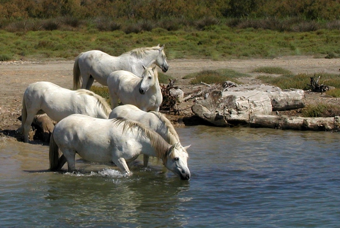 heerlijk-helder-water