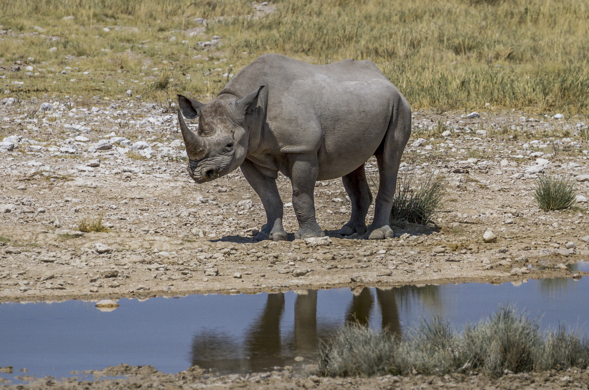 spiegeltje-spiegeltje-in-de-plas-wie-is