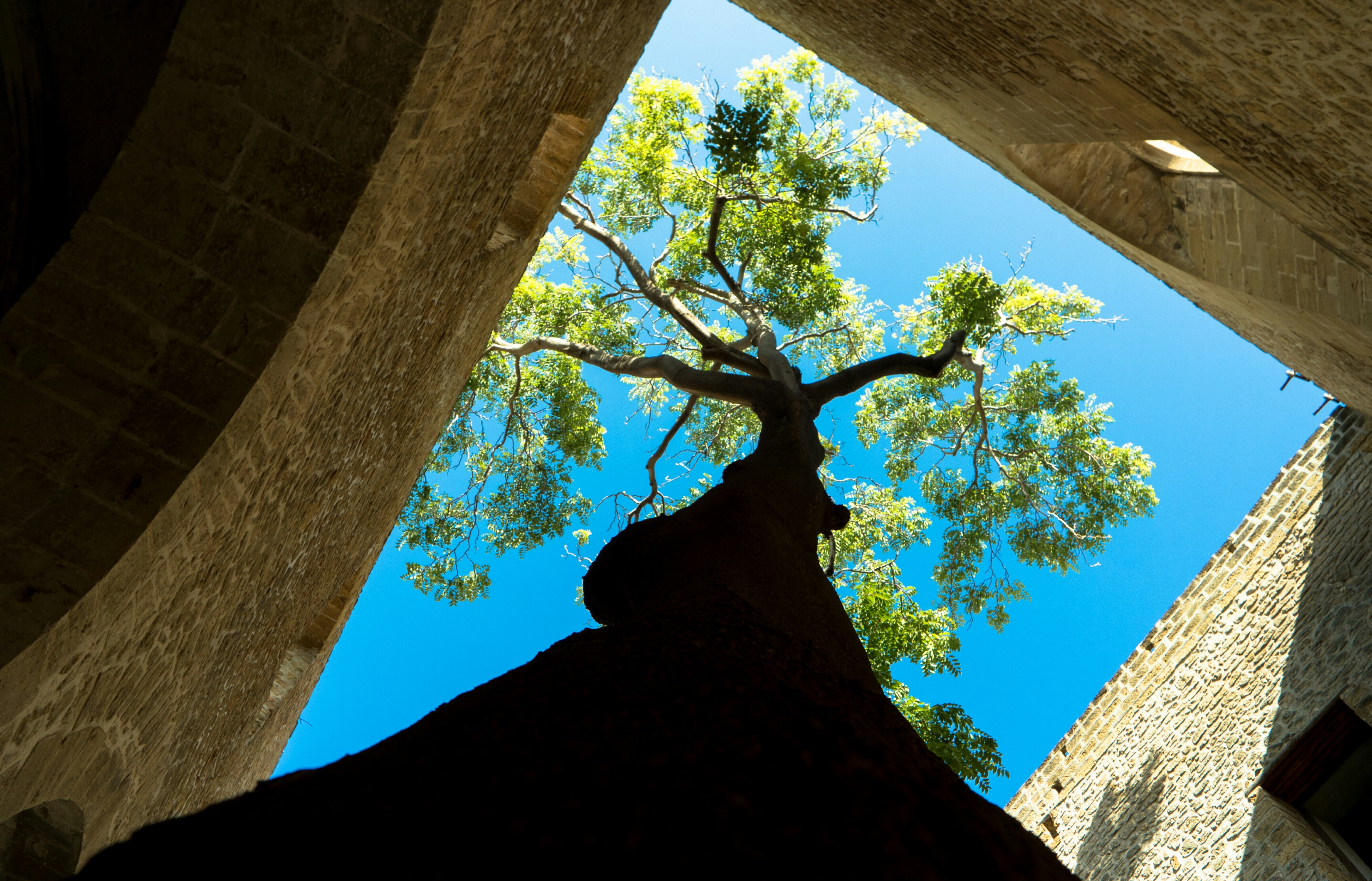 santa-maria-dello-spasimo