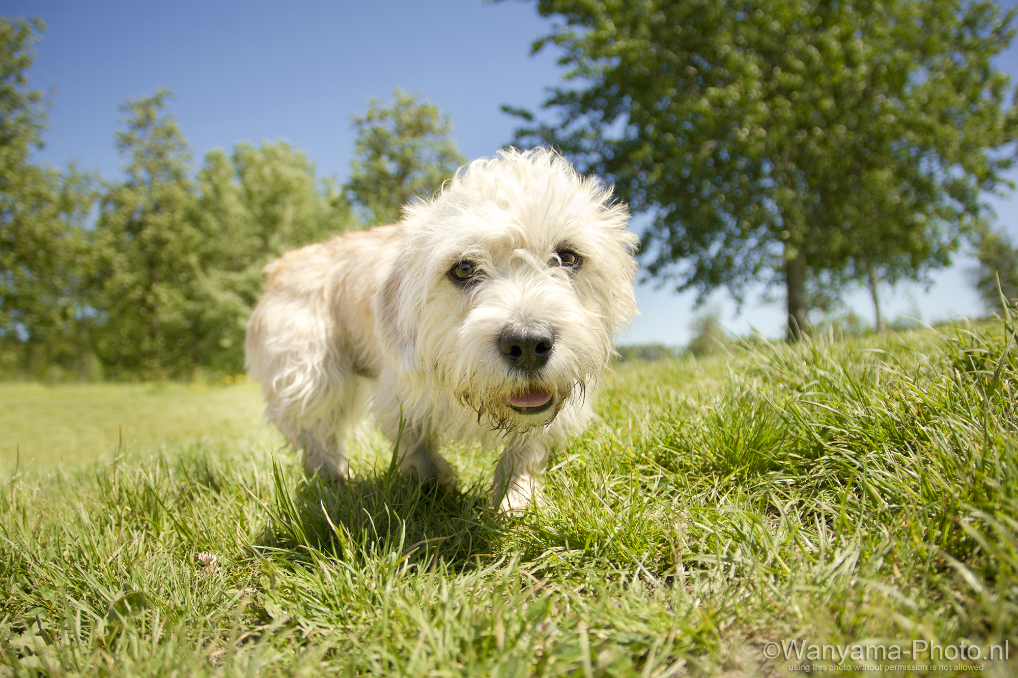 vanuit-een-laag-perspectief