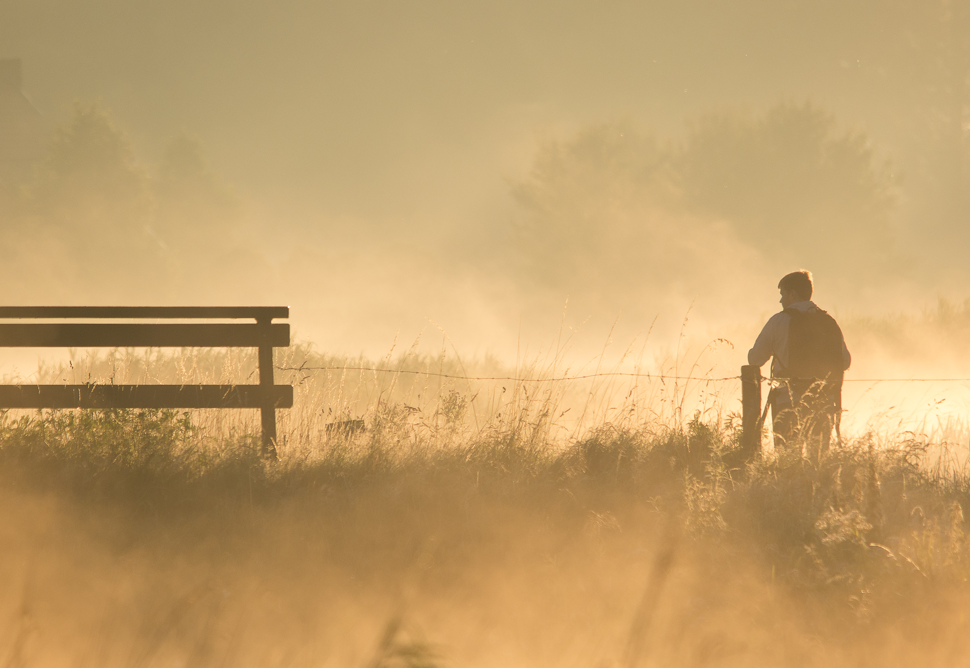 weg-dromen-in-de-vroege-ochtend