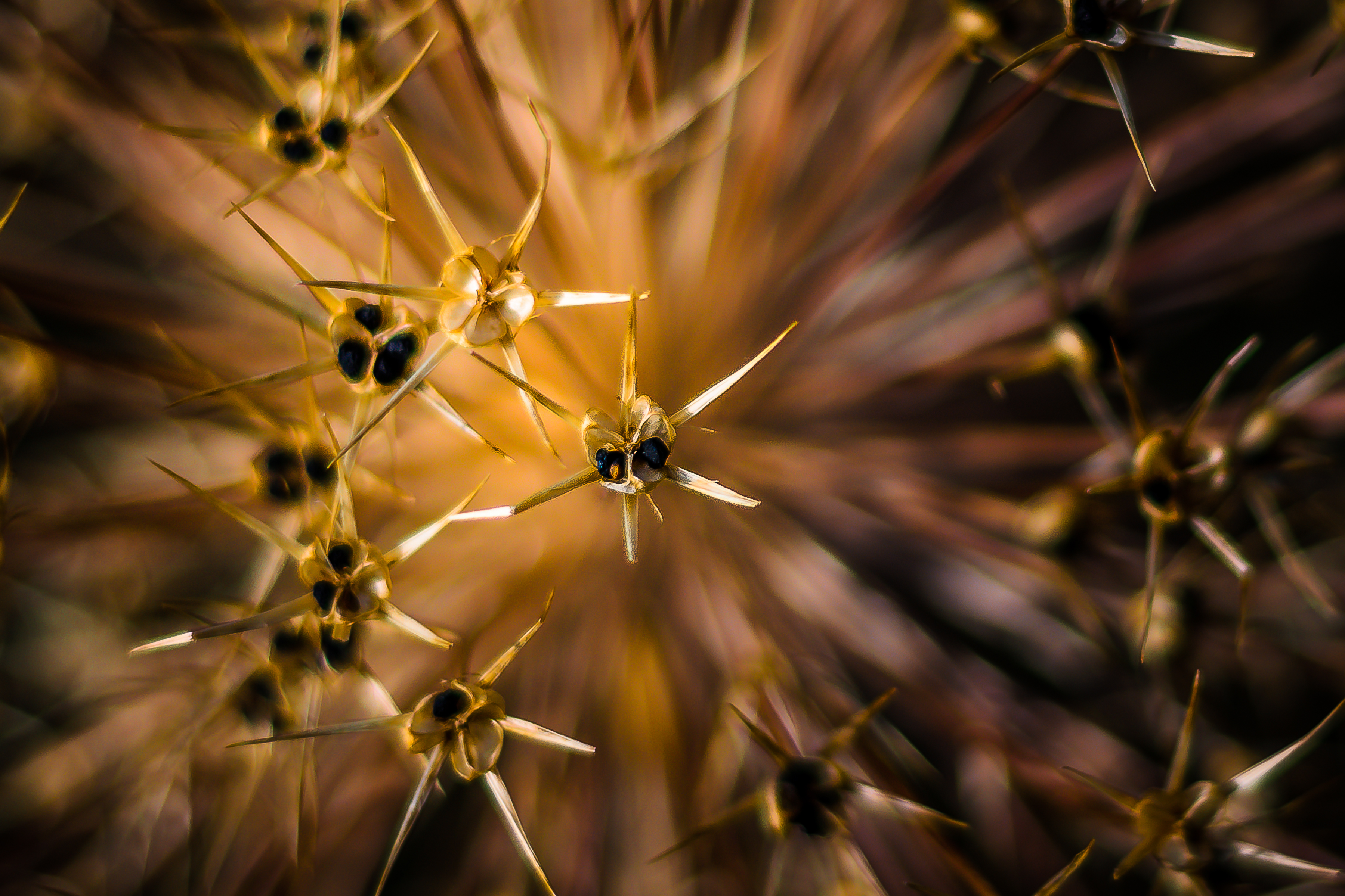 invasie-uit-de-ruimte-of