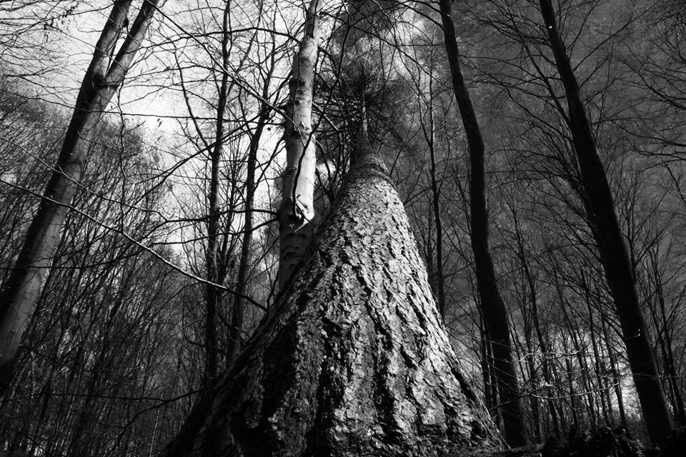 de-natuur-en-haar-wonderen