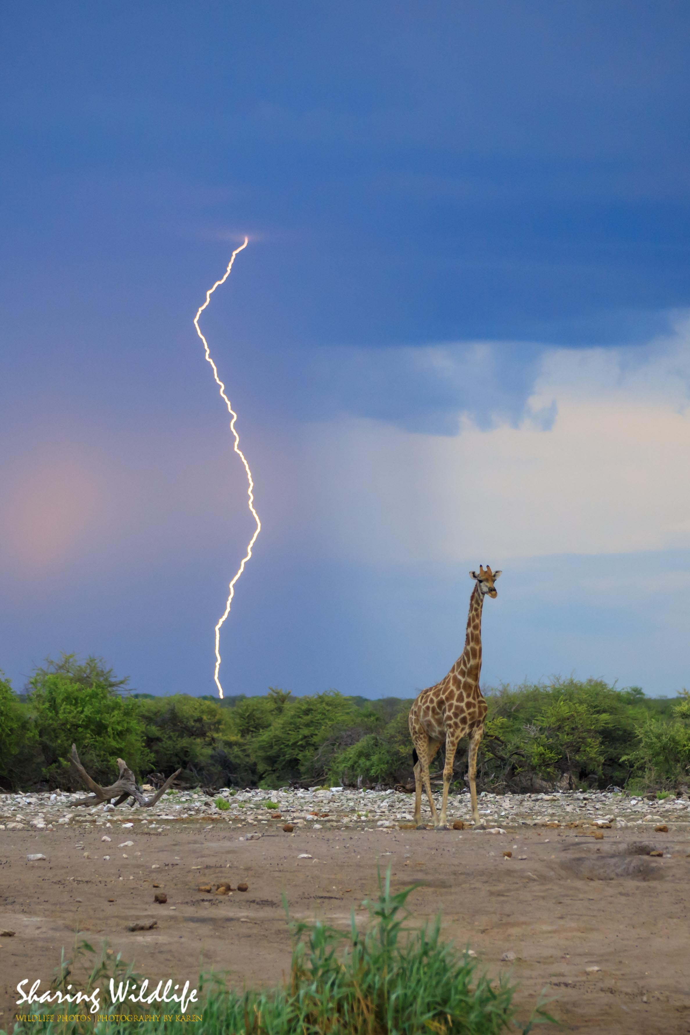 struck-by-lightning-0