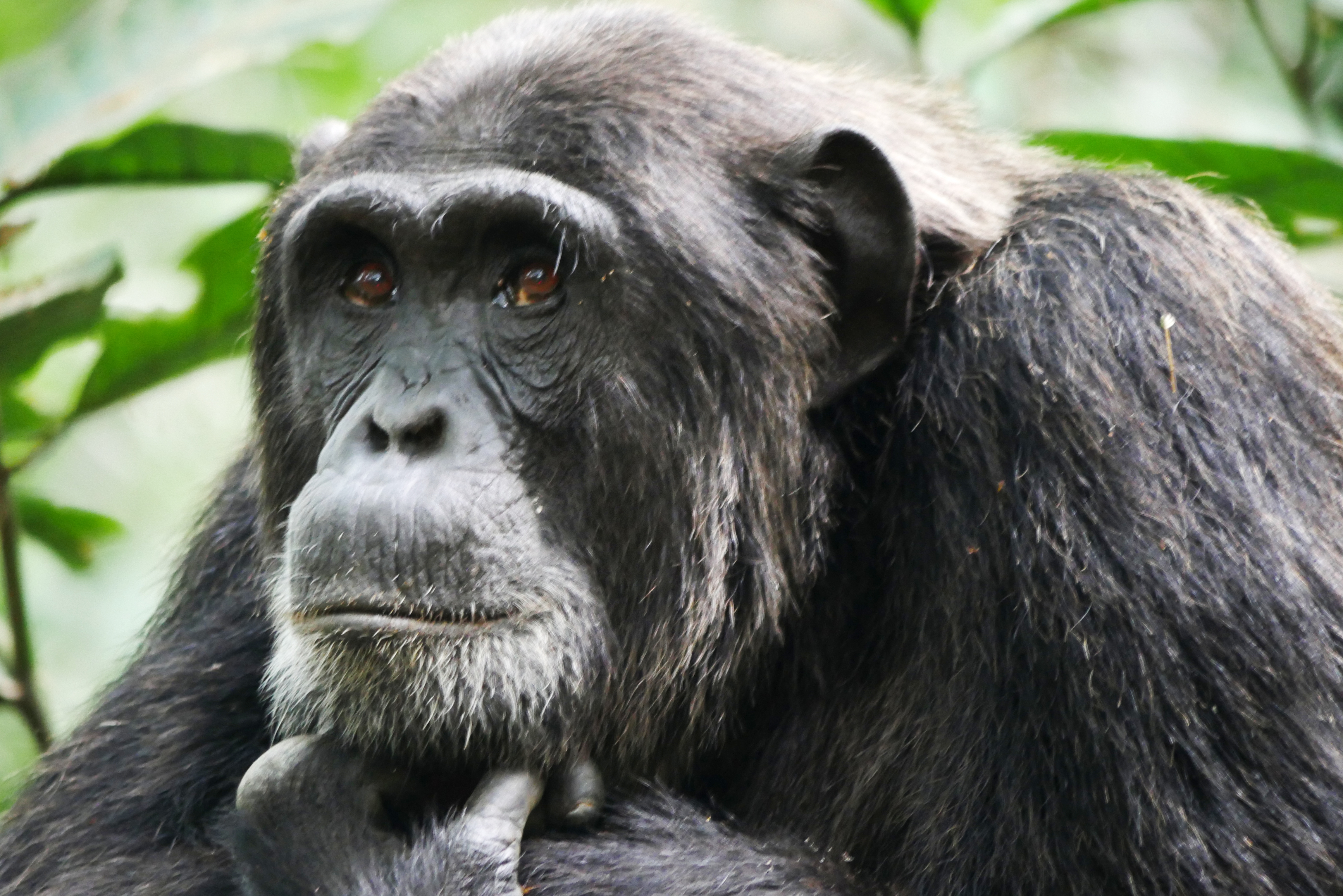 in-gedachten-verzonken-3