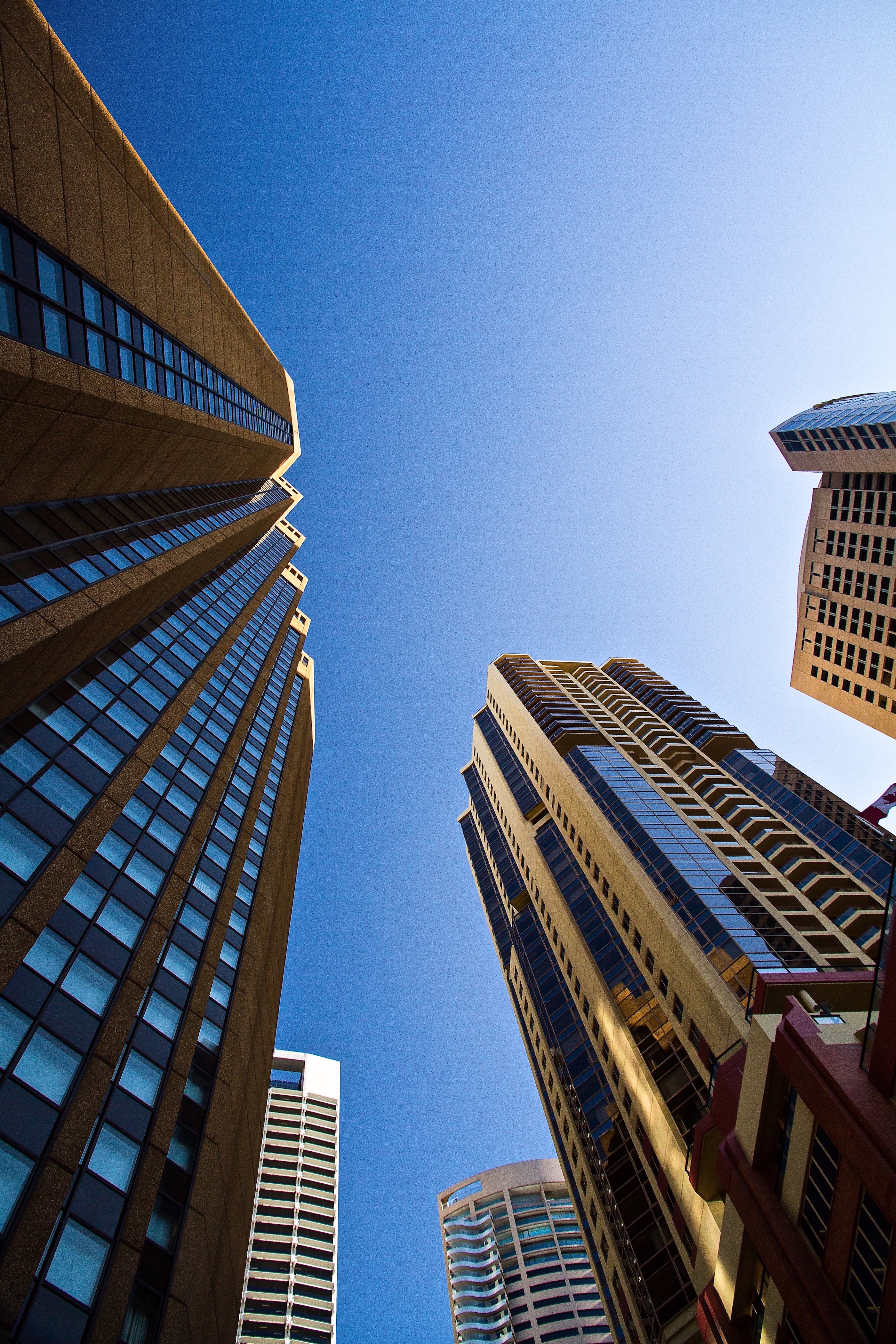 perspectief-in-sydney