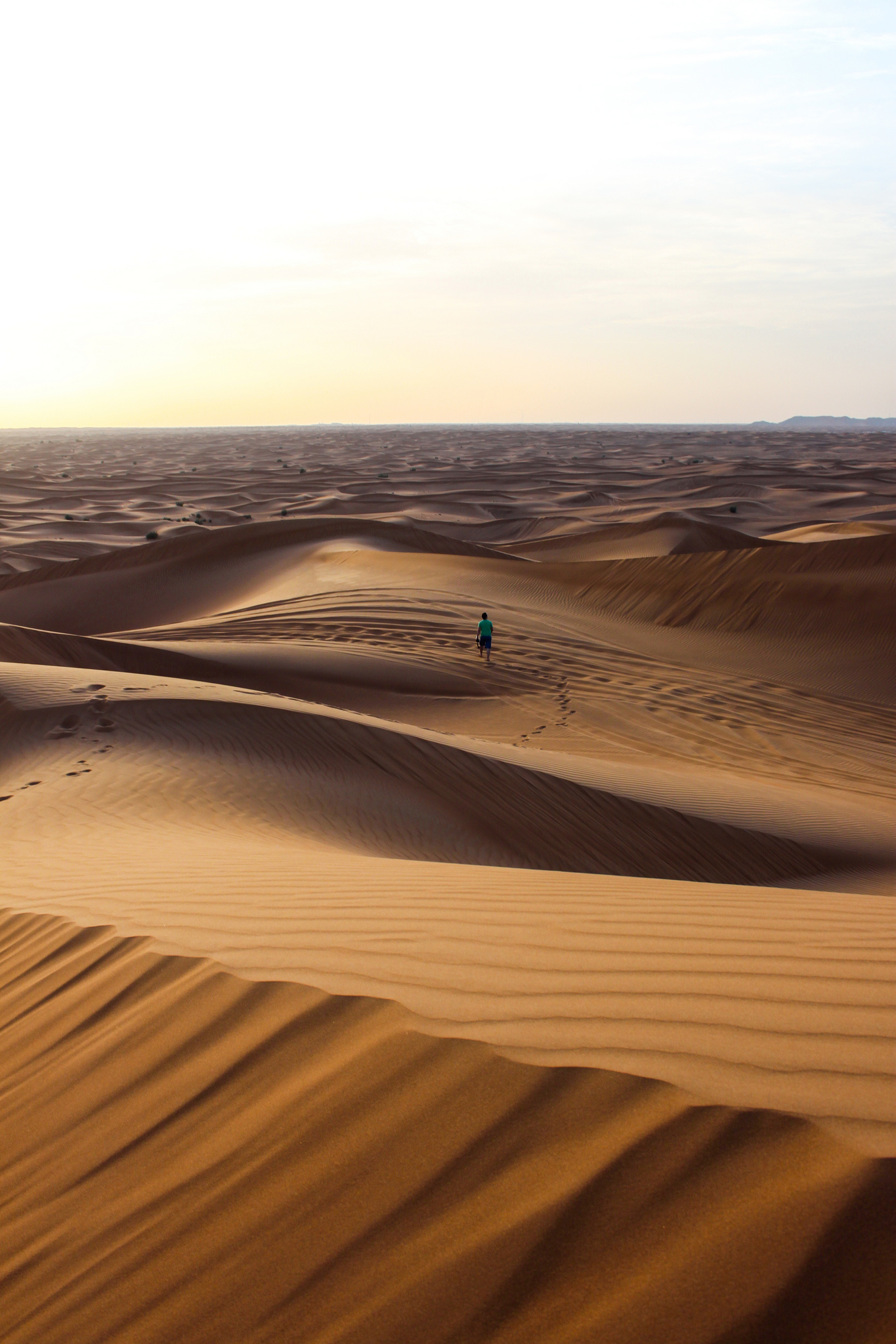 searching-for-meaning