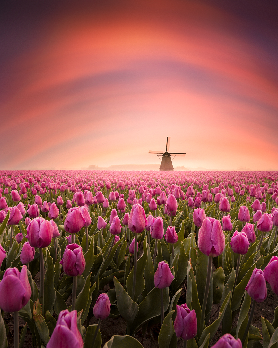 magical-view