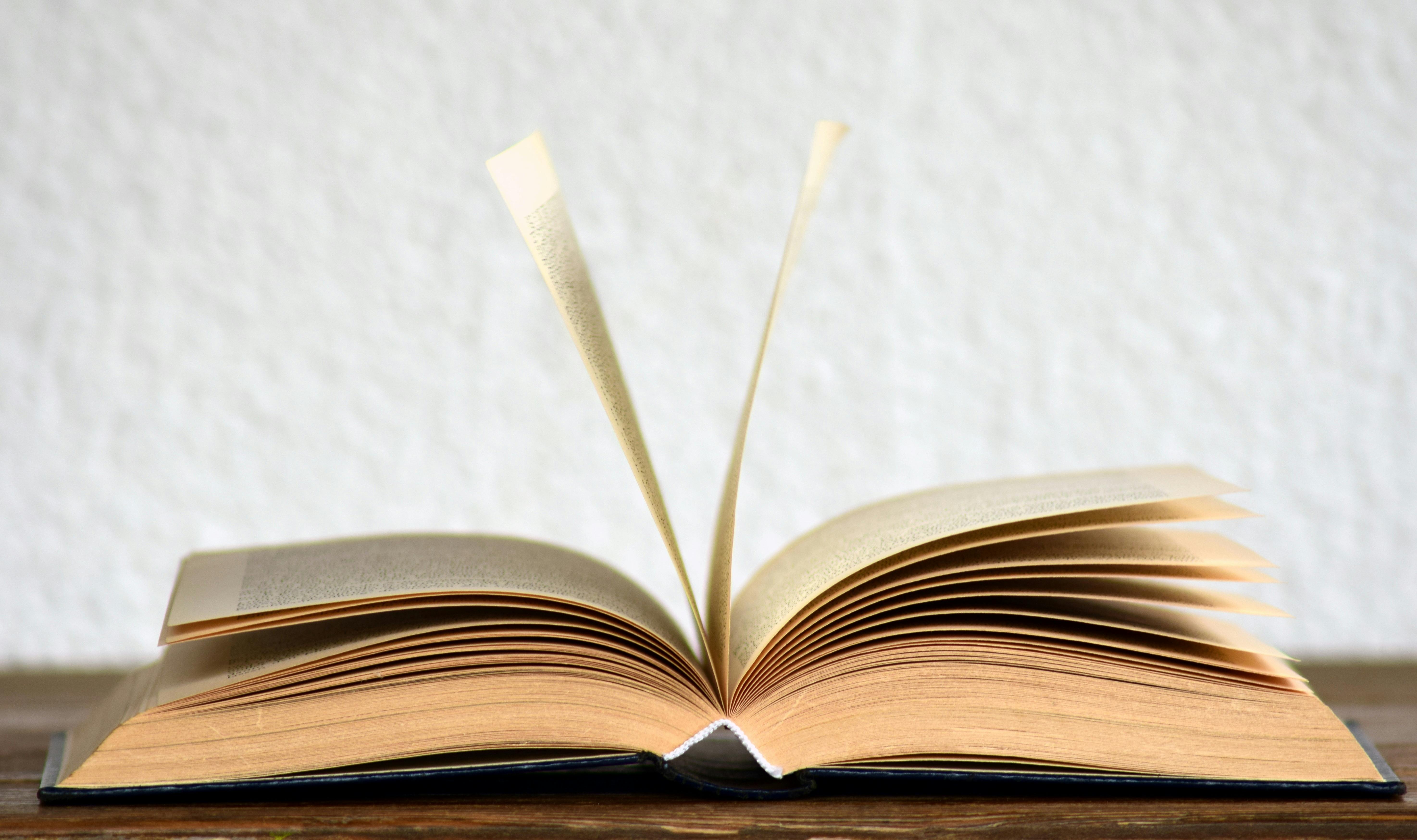 groeipijn-een-boek-over-het-levensverhaal-van-ray-klaassens
