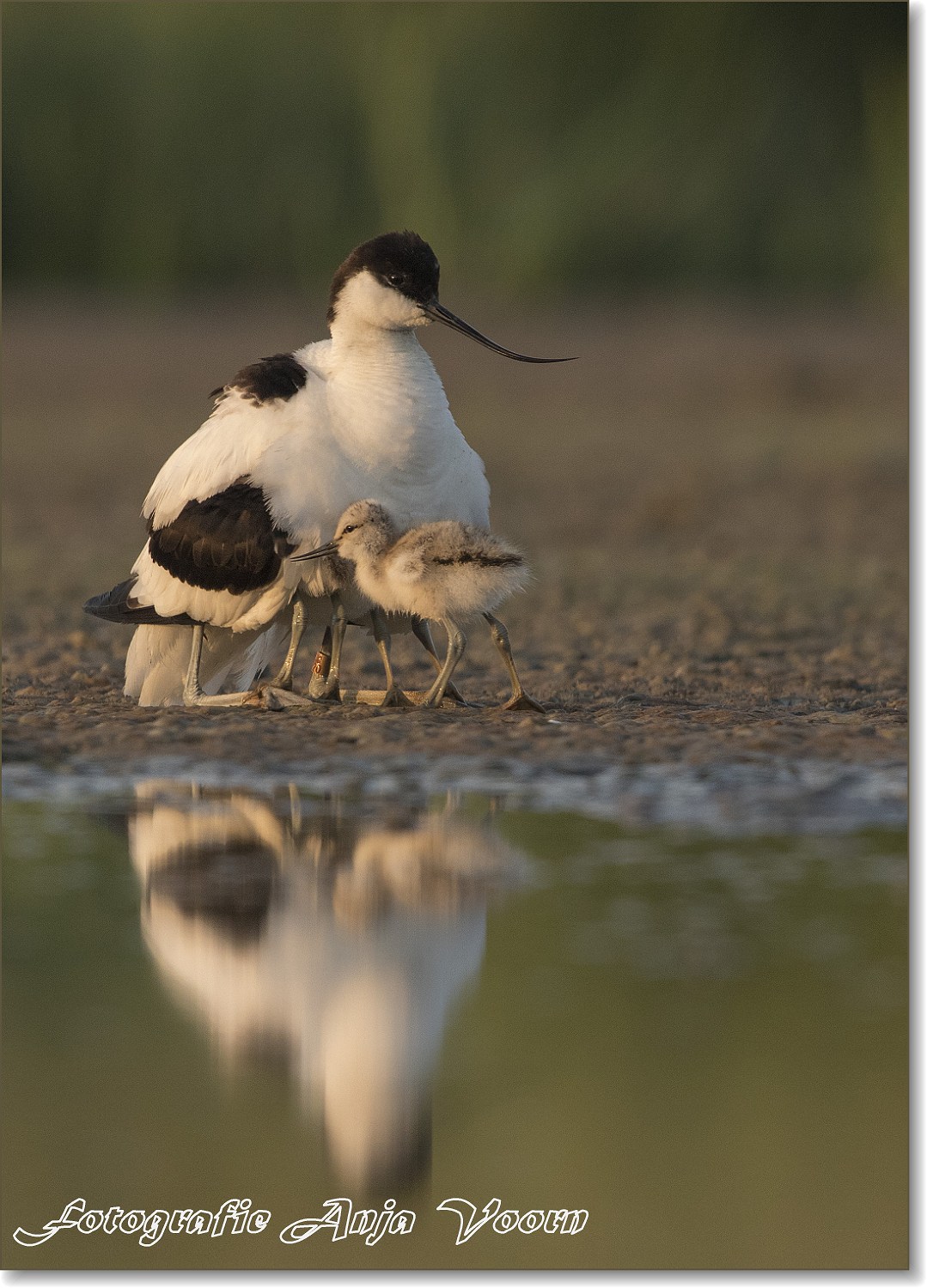 warmpjes-erbij-zitten